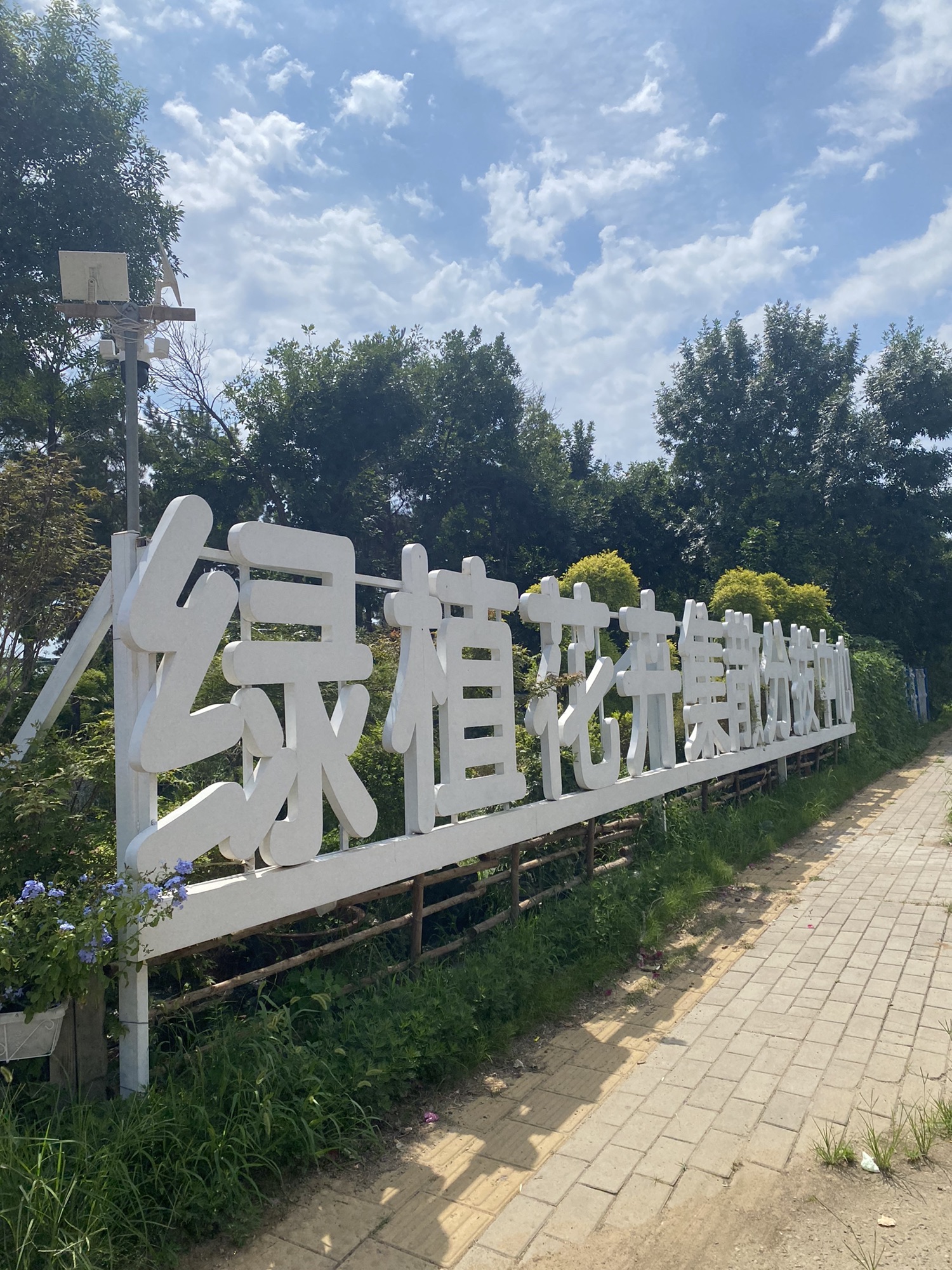 绿植花卉集散分拔中心