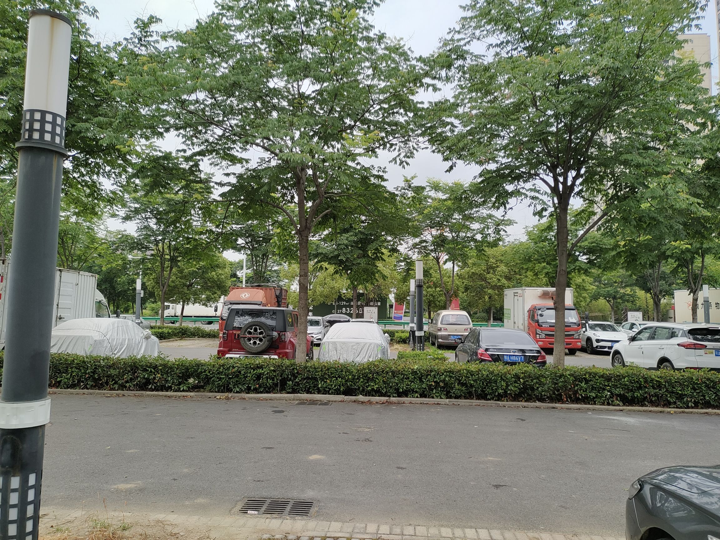 走马岭公园旅行图片 1