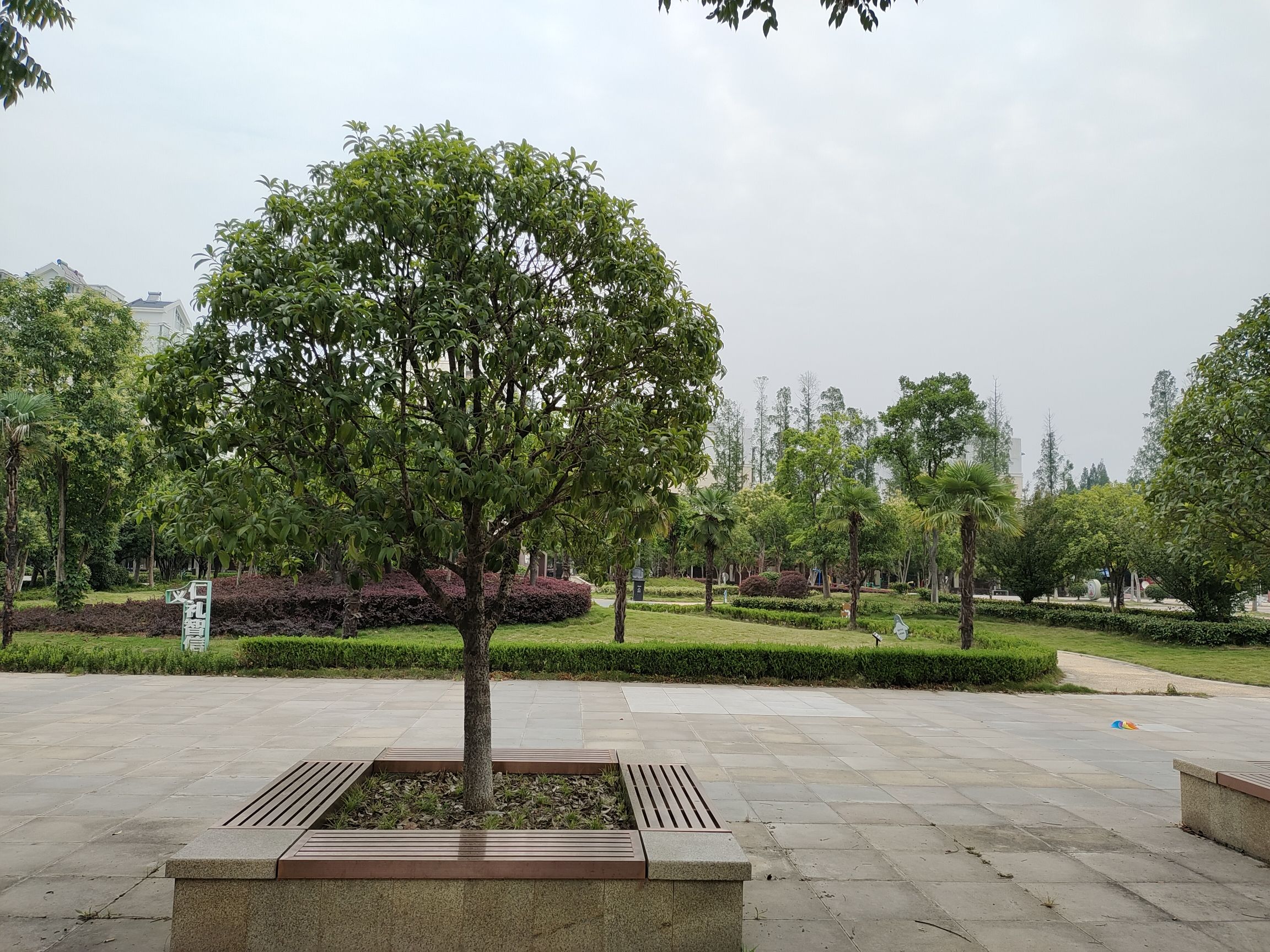 走马岭公园旅行图片 2