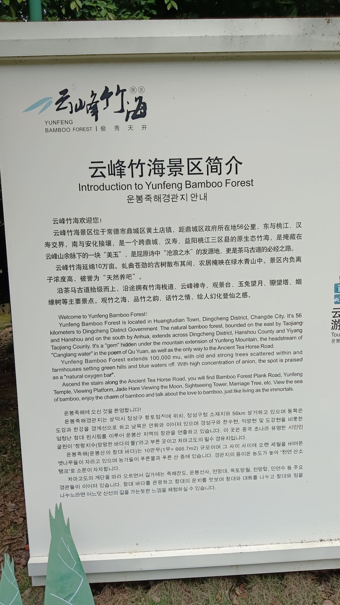 云峰竹海旅行图片 2