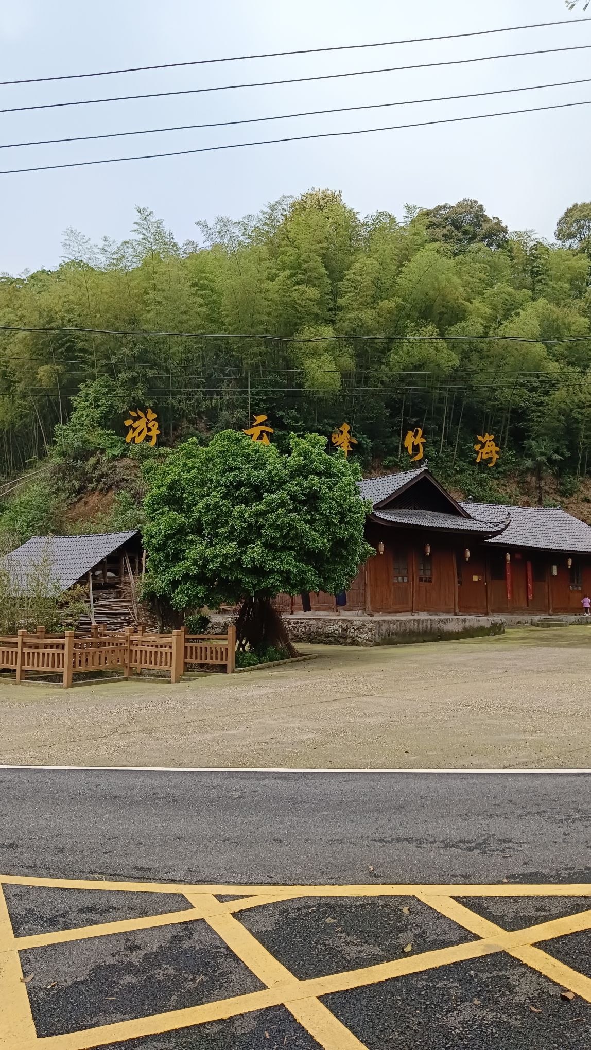 云峰竹海旅行图片 1