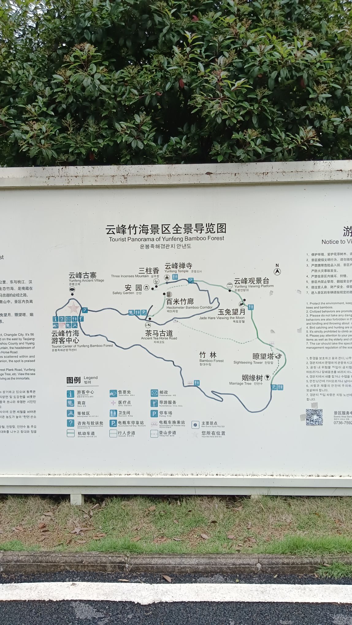 云峰竹海旅行图片 3