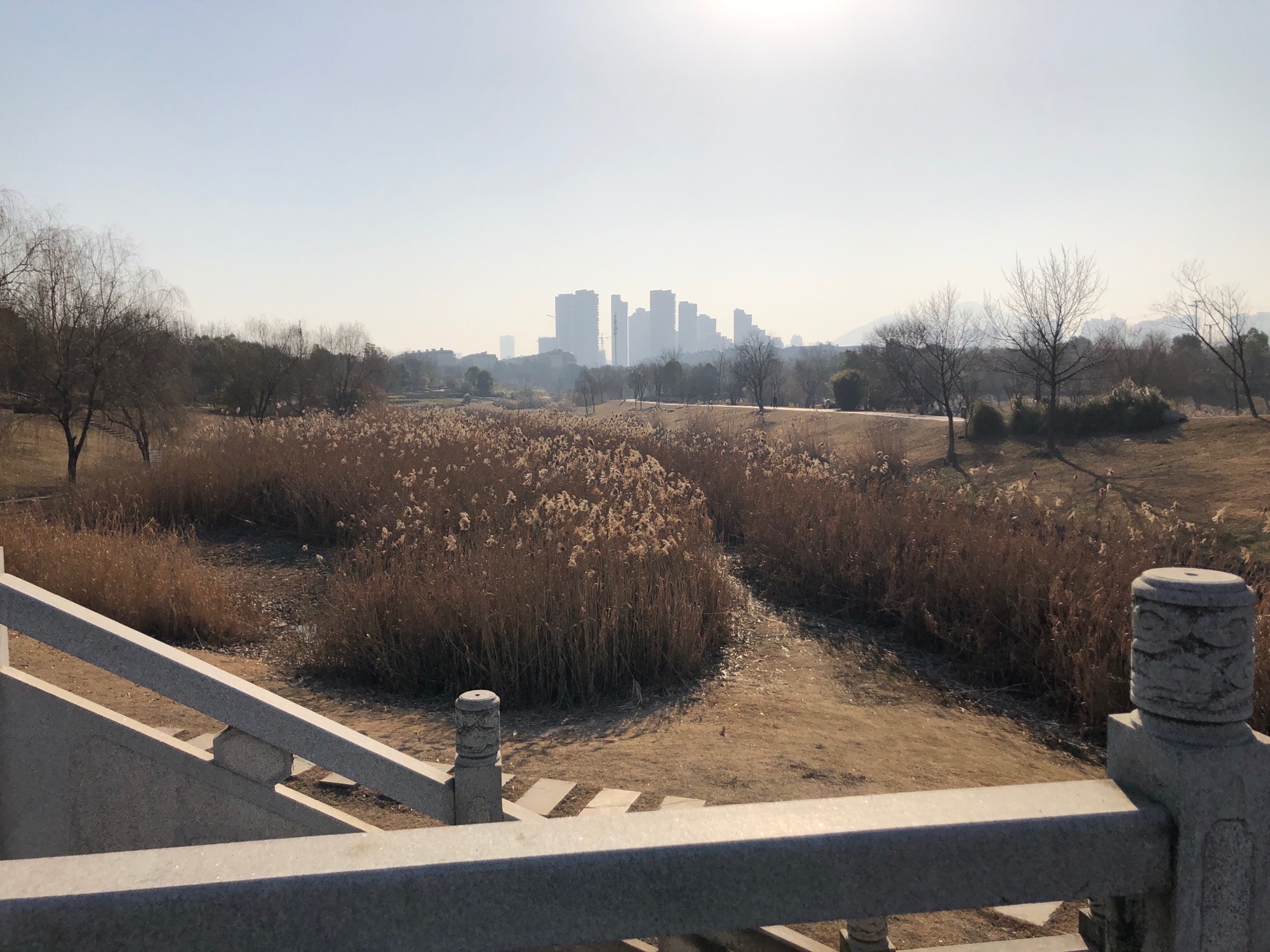 黑砂河湿地公园旅行图片 3
