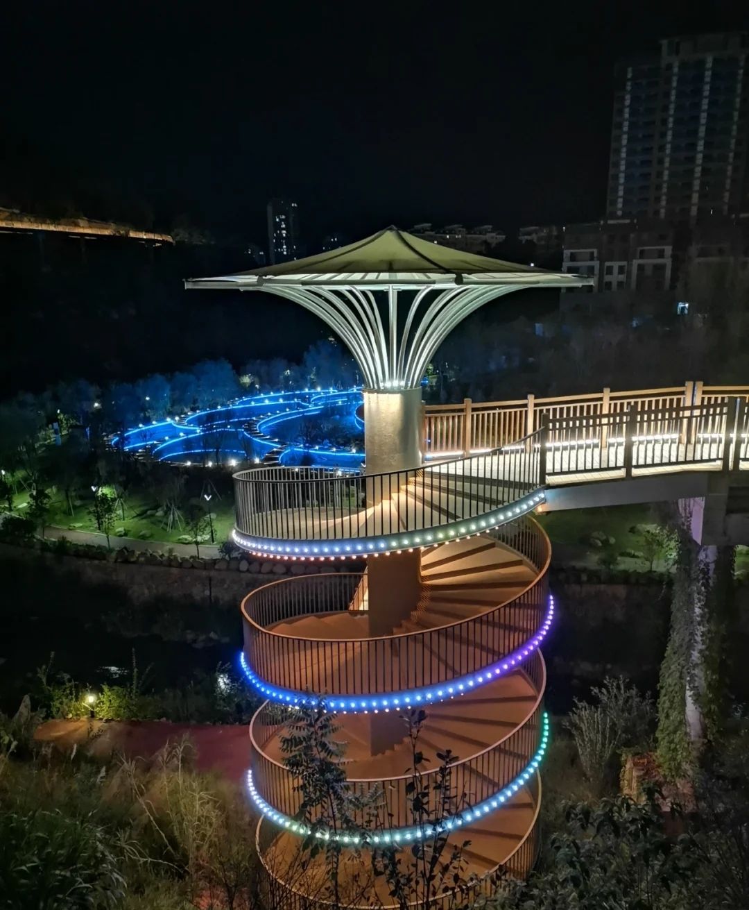 贵溪洋生态湿地公园旅行图片 1