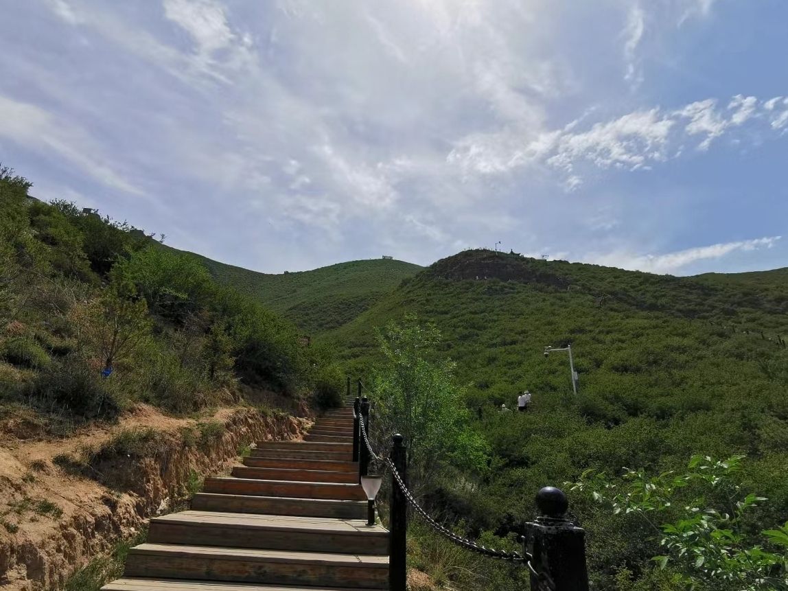 大青山旅行图片 3