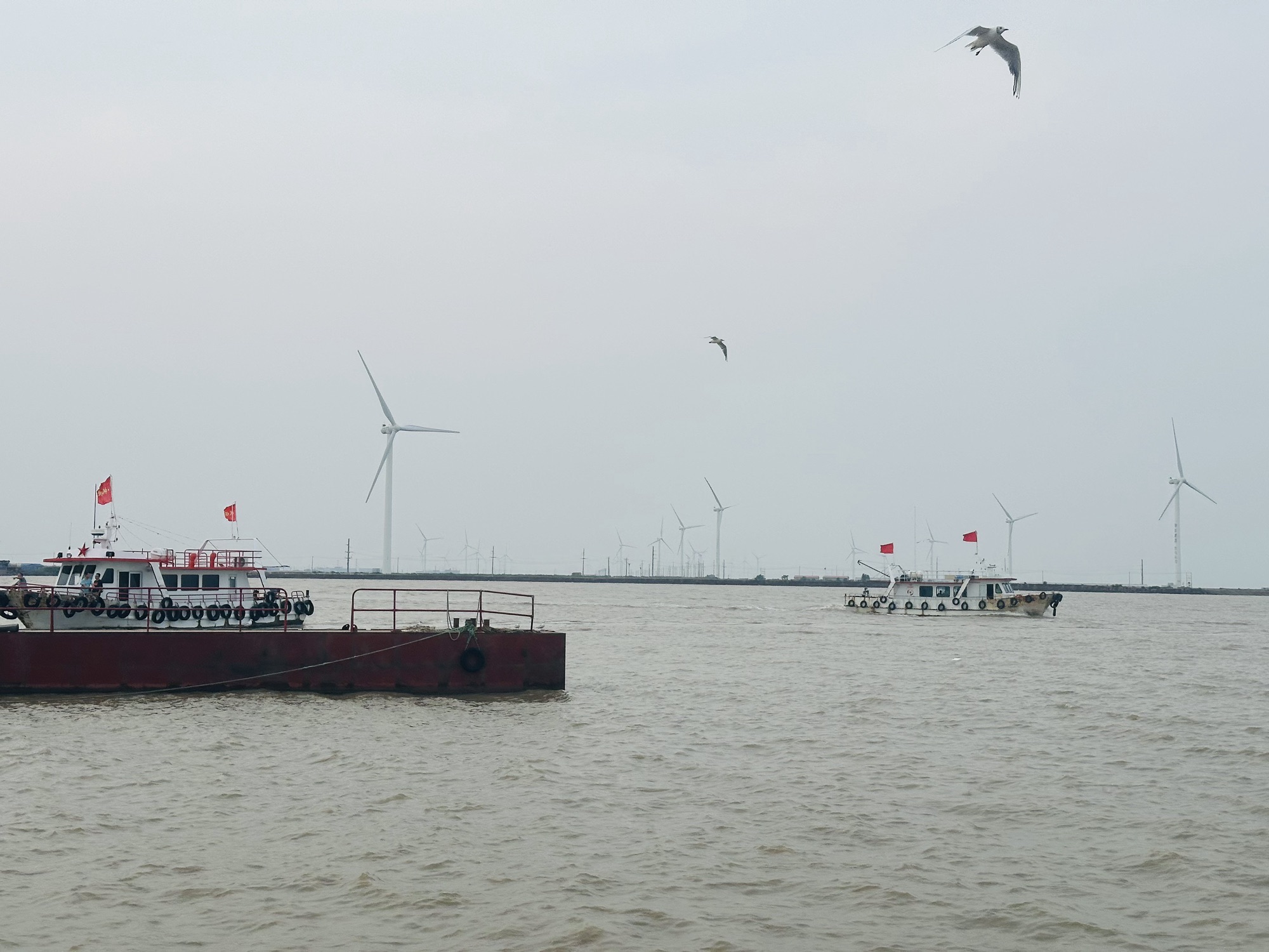 赵家堡凯越旅游船观光旅游码头旅行图片 1