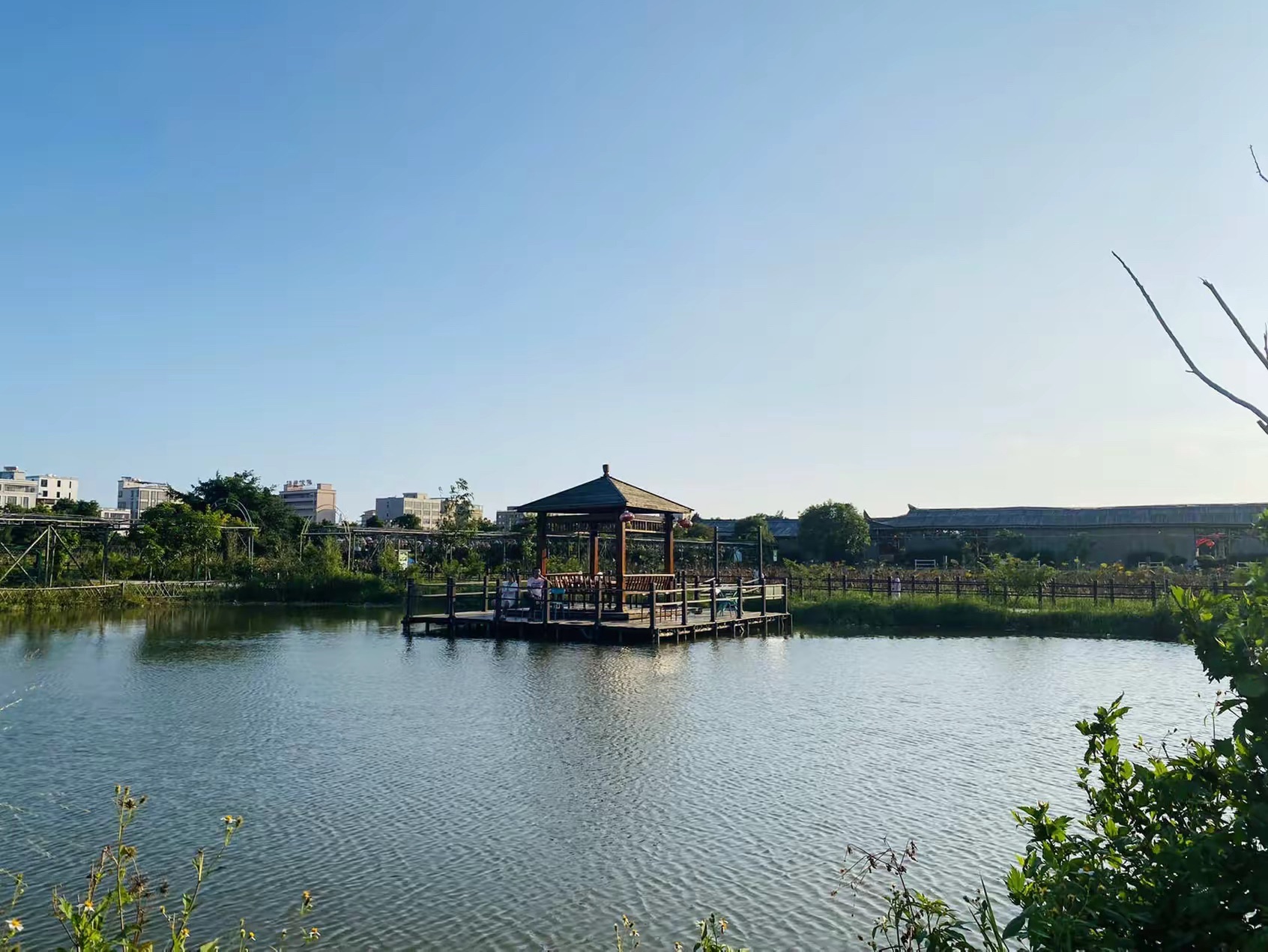 潮府盛莲生态园旅行图片 3