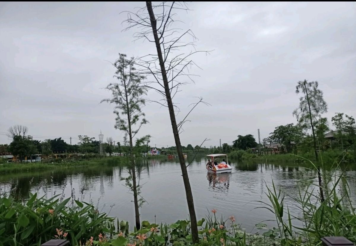 潮府盛莲生态园旅行图片 1