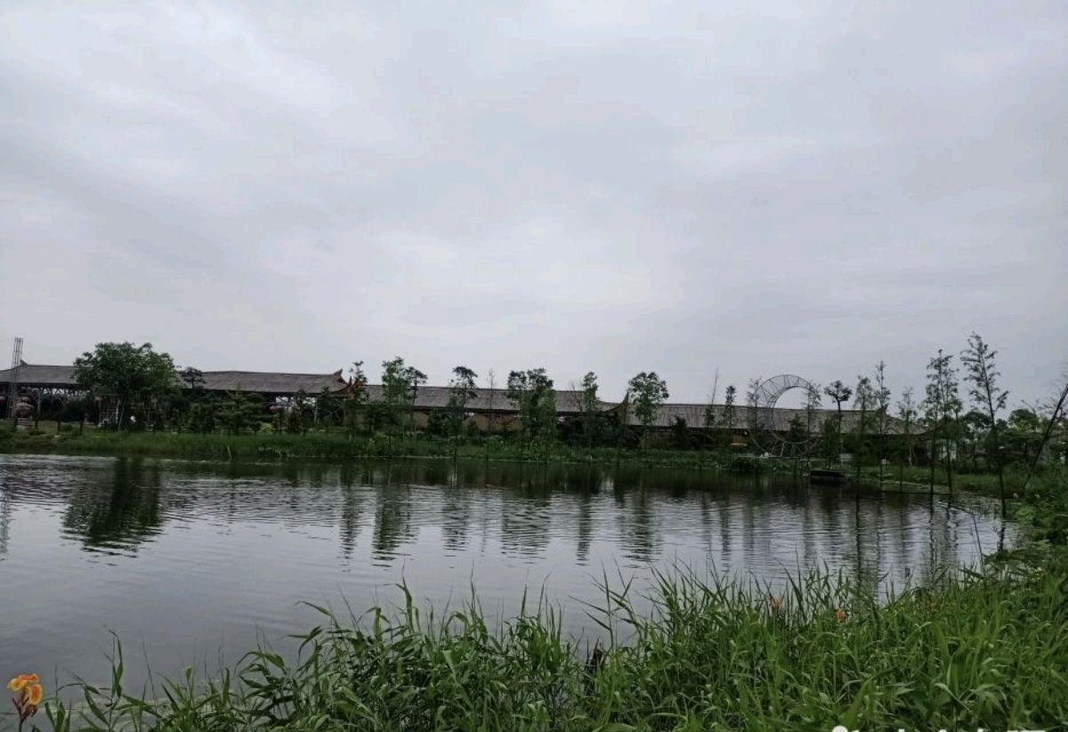 潮府盛莲生态园旅行图片 2