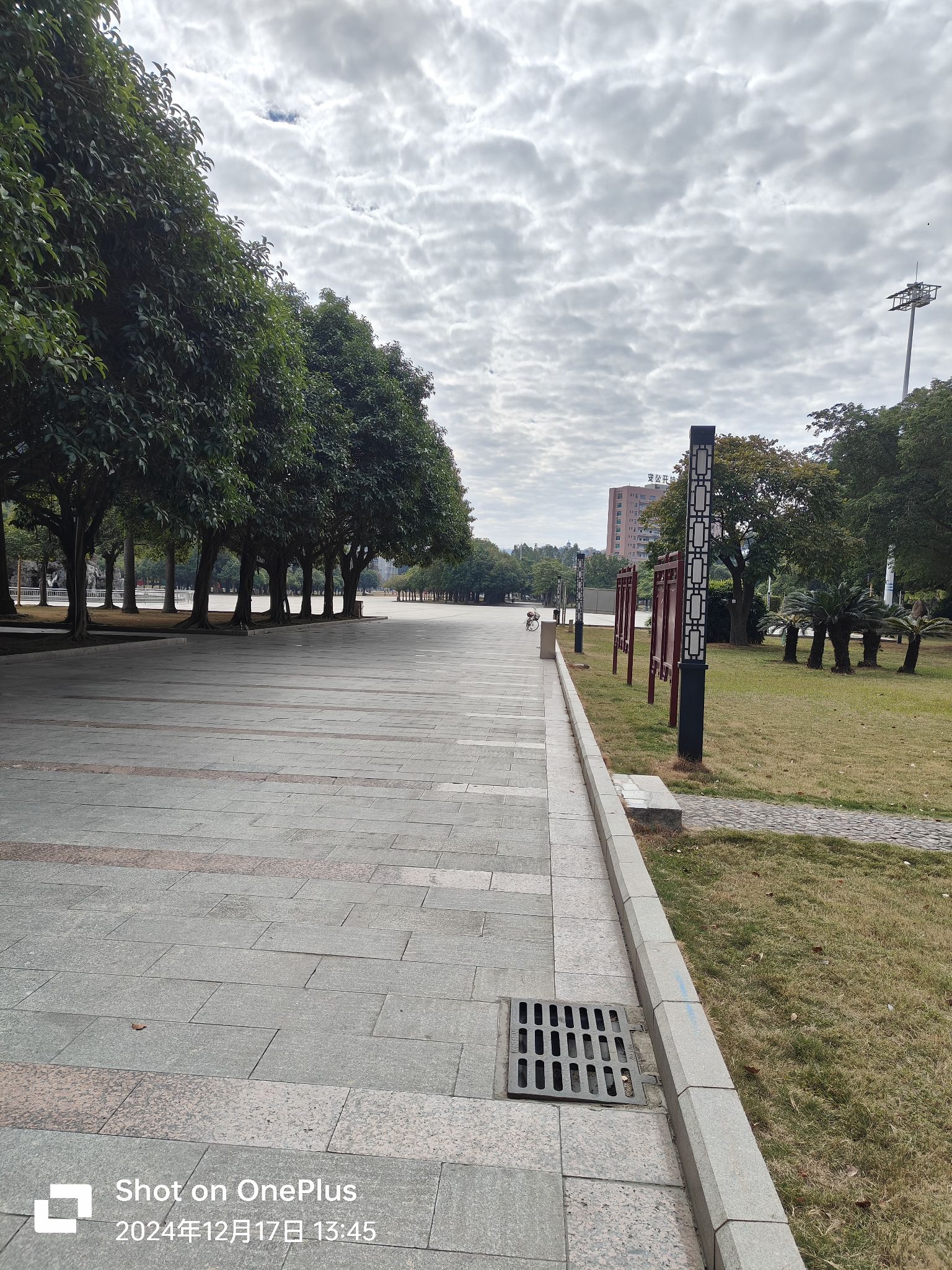 封开县行政中心广场旅行图片 3
