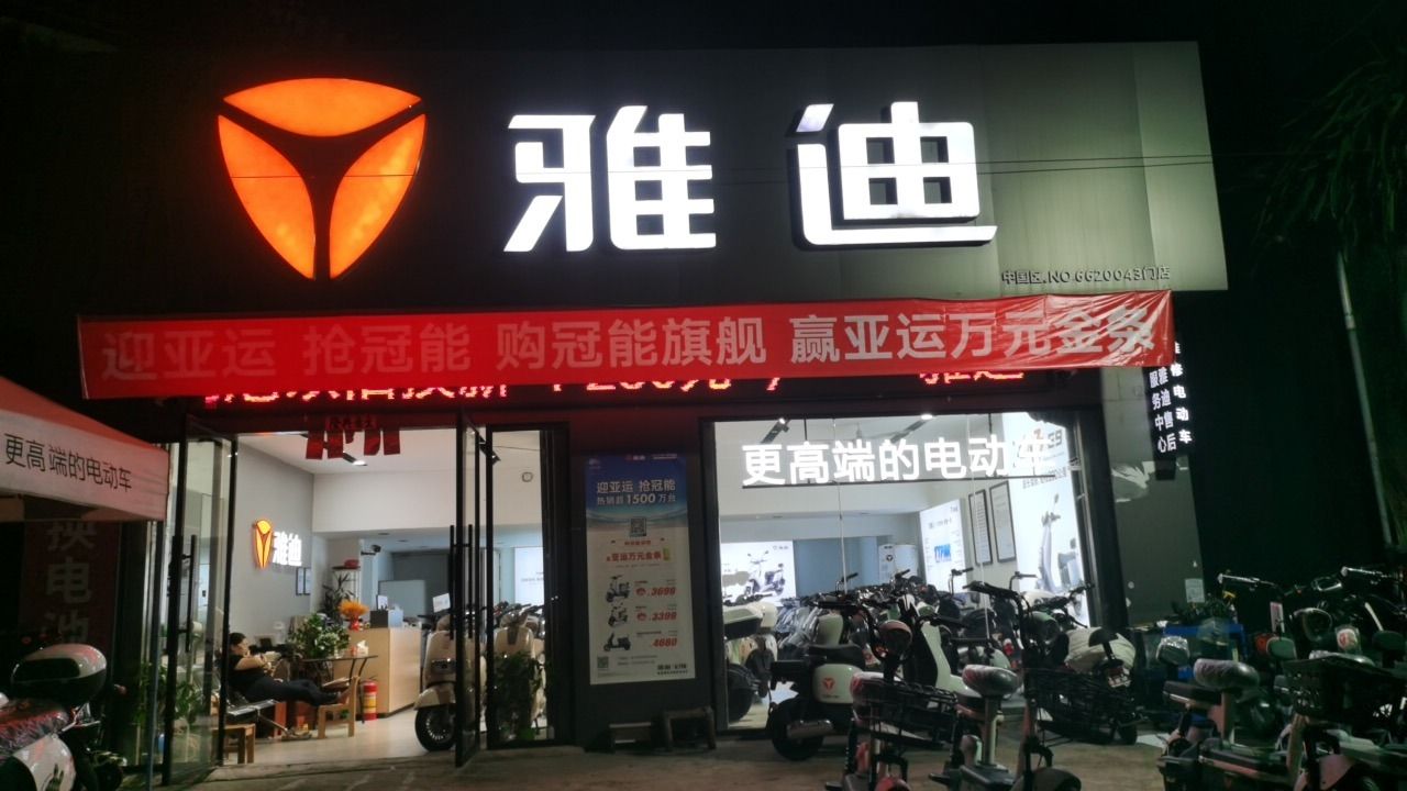 雅迪电动车(麻演店)