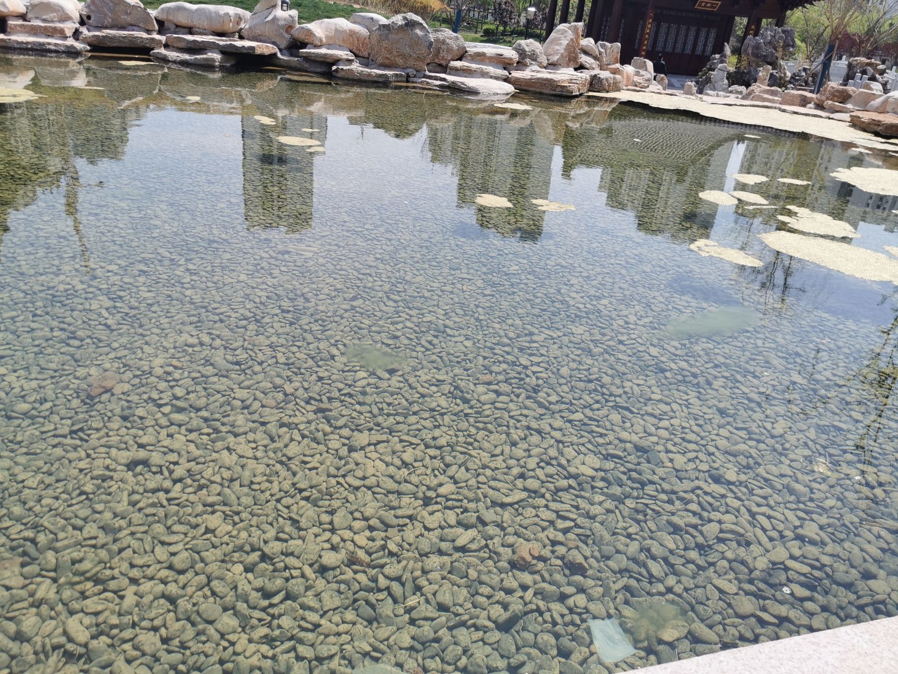 梁山春园景区旅行图片 1