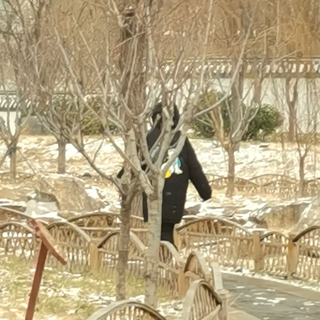 梁山春园景区旅行图片 3