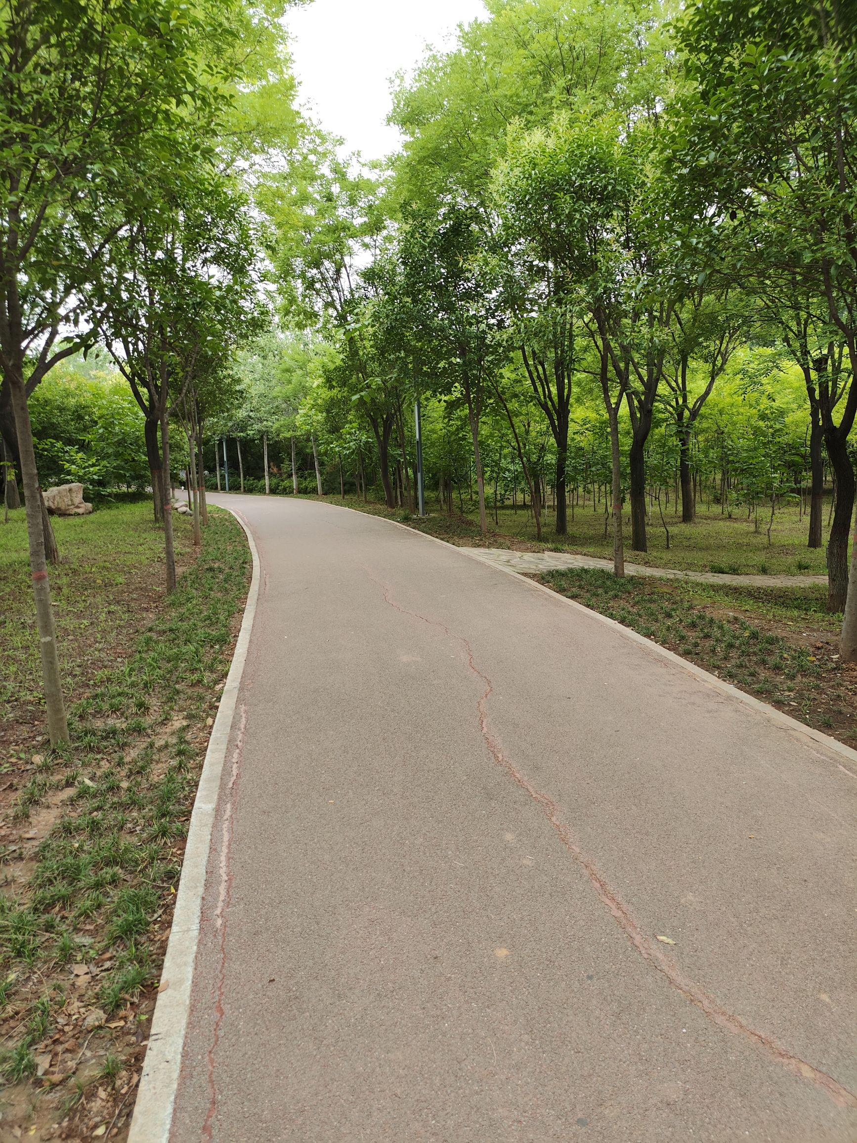 垣曲县健康和体育公园旅行图片 3
