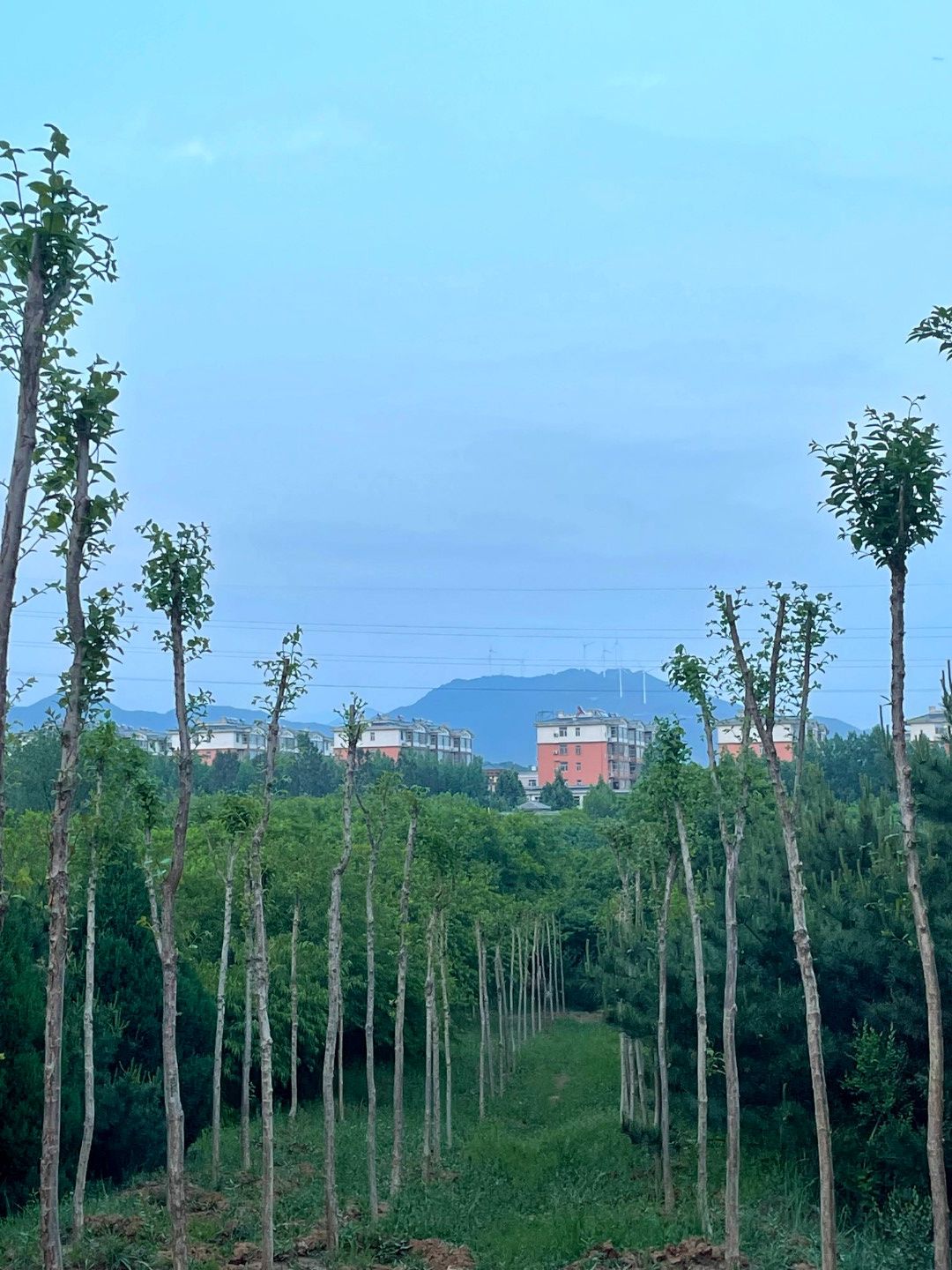 垣曲县健康和体育公园旅行图片 1