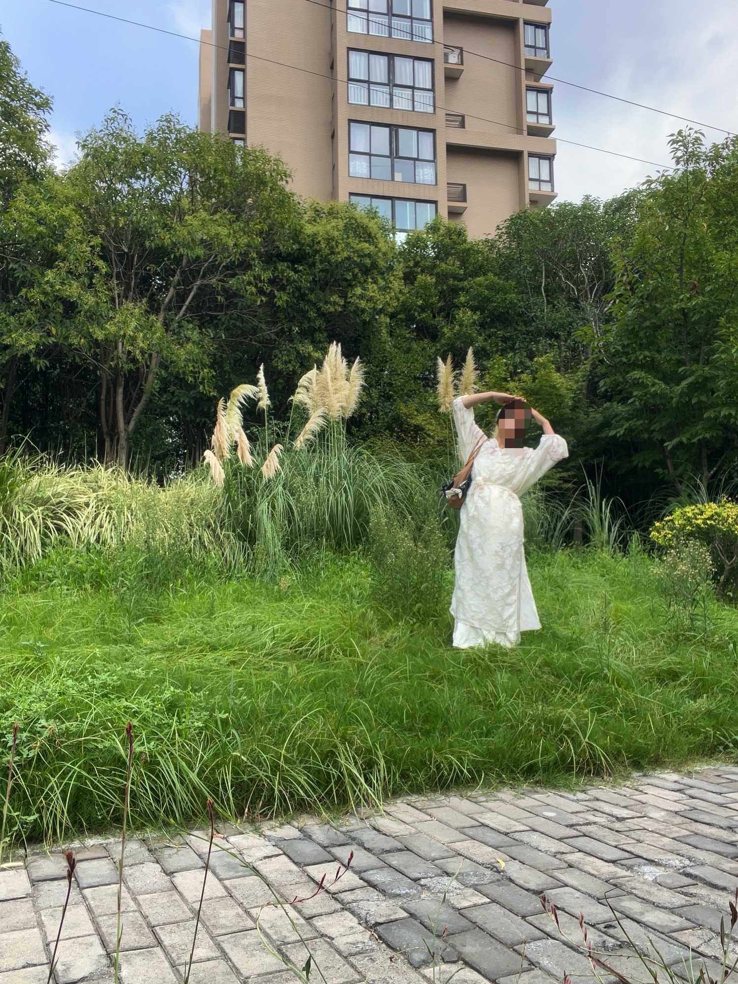 盐龙体育公园旅行图片 1