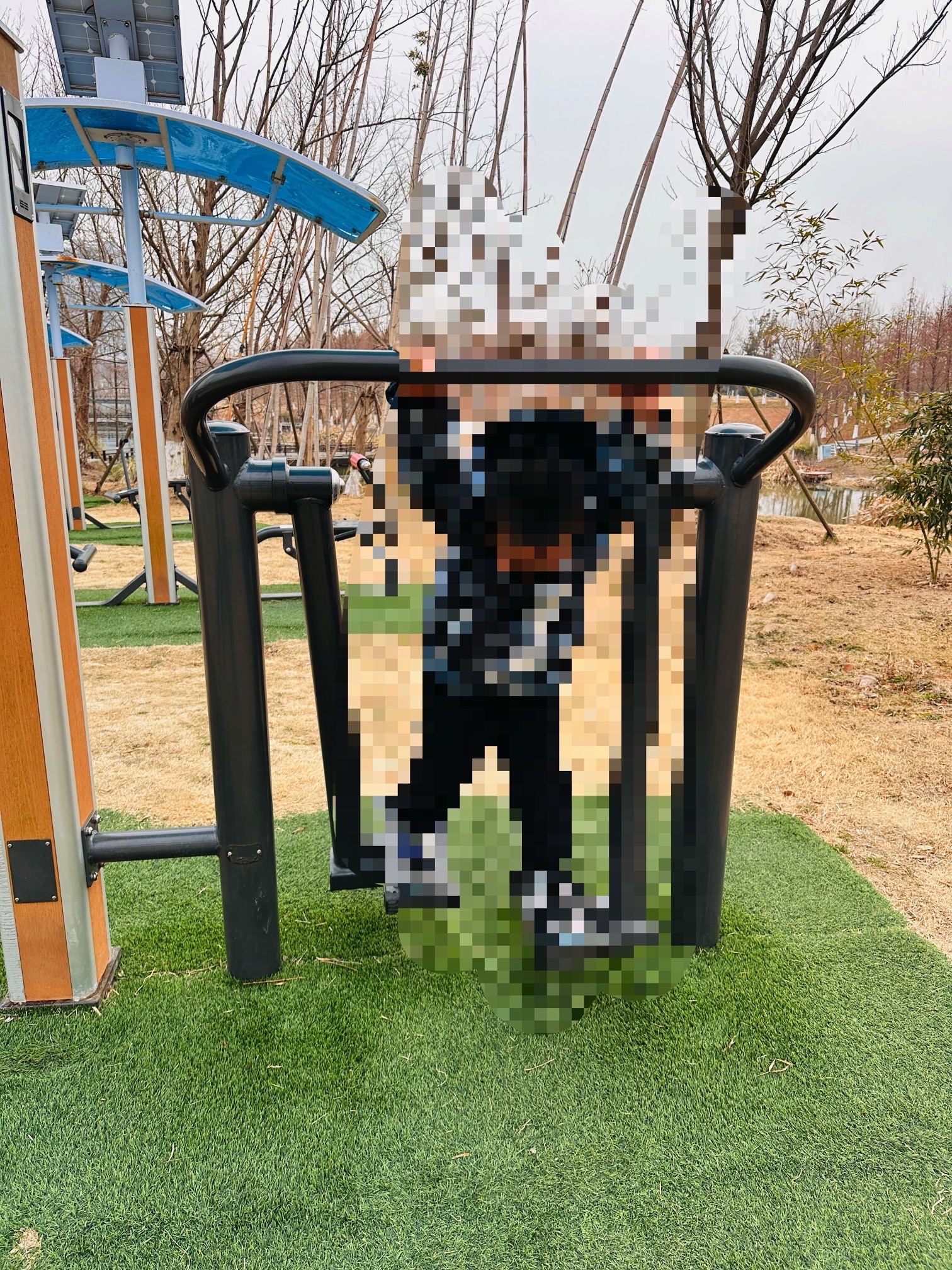 盐龙体育公园旅行图片 2