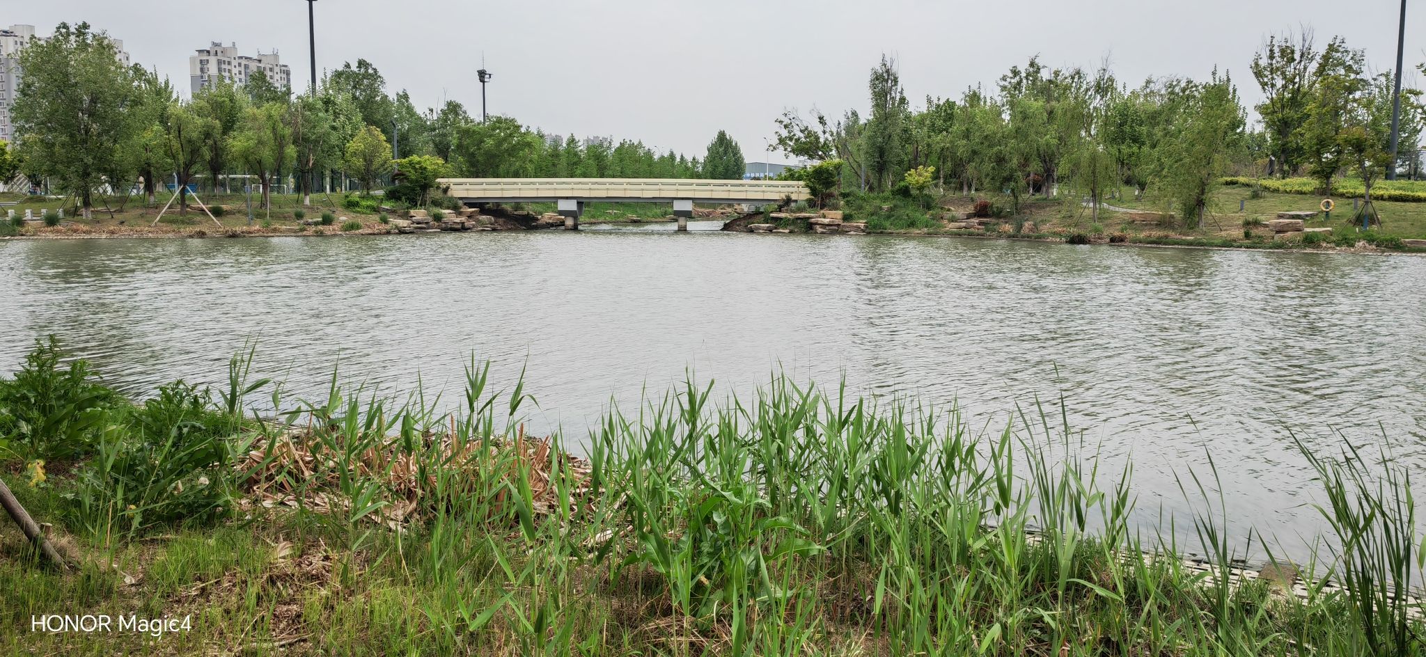 盐龙体育公园旅行图片 3
