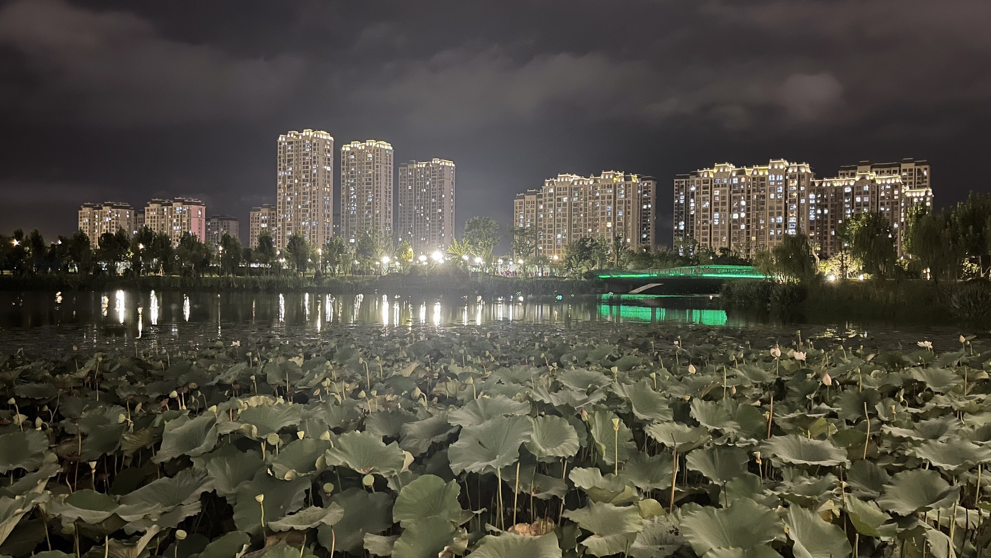 盐龙体育公园旅行图片 2