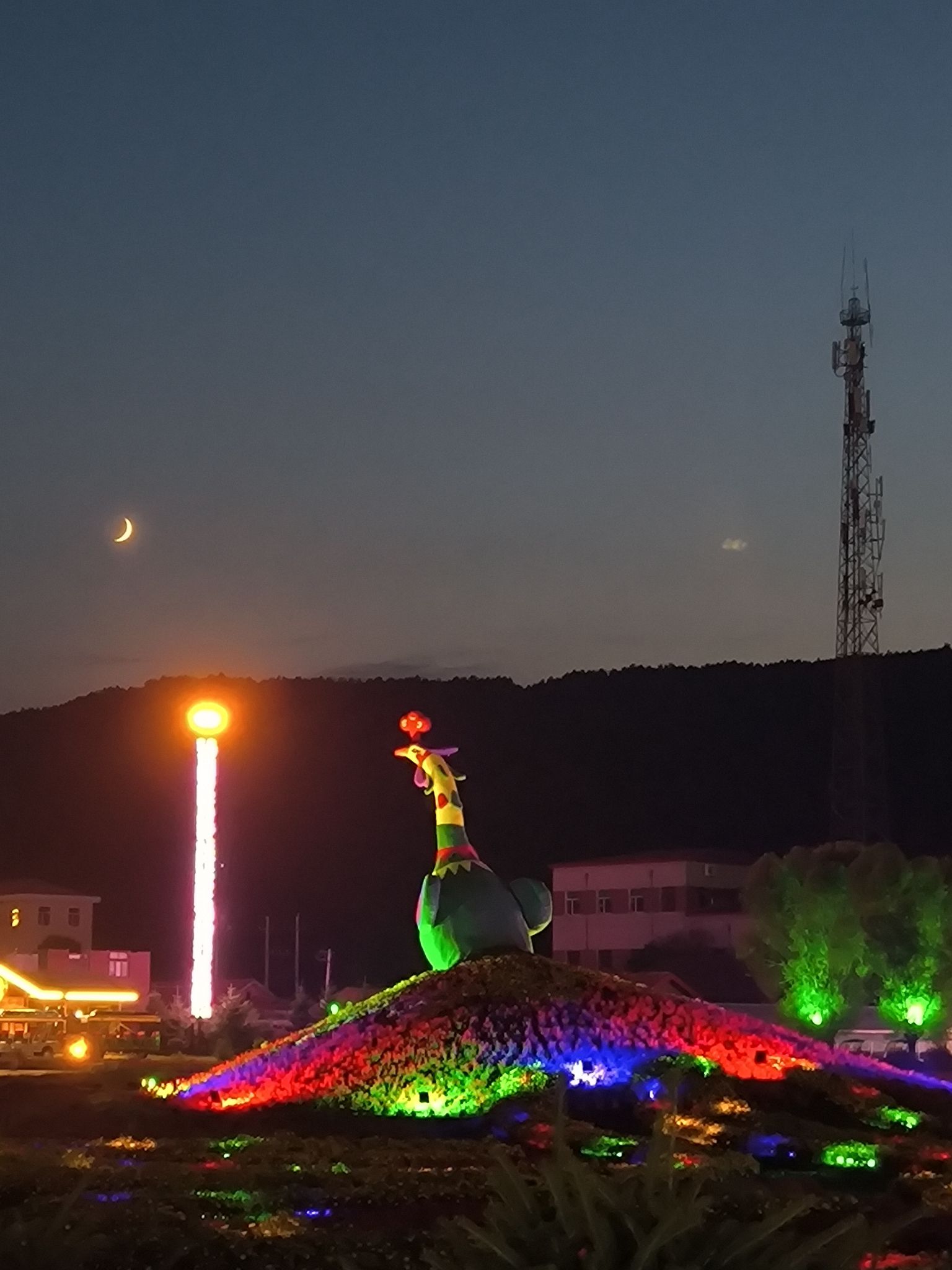 朗乡花海(暂停开放)旅行图片 2
