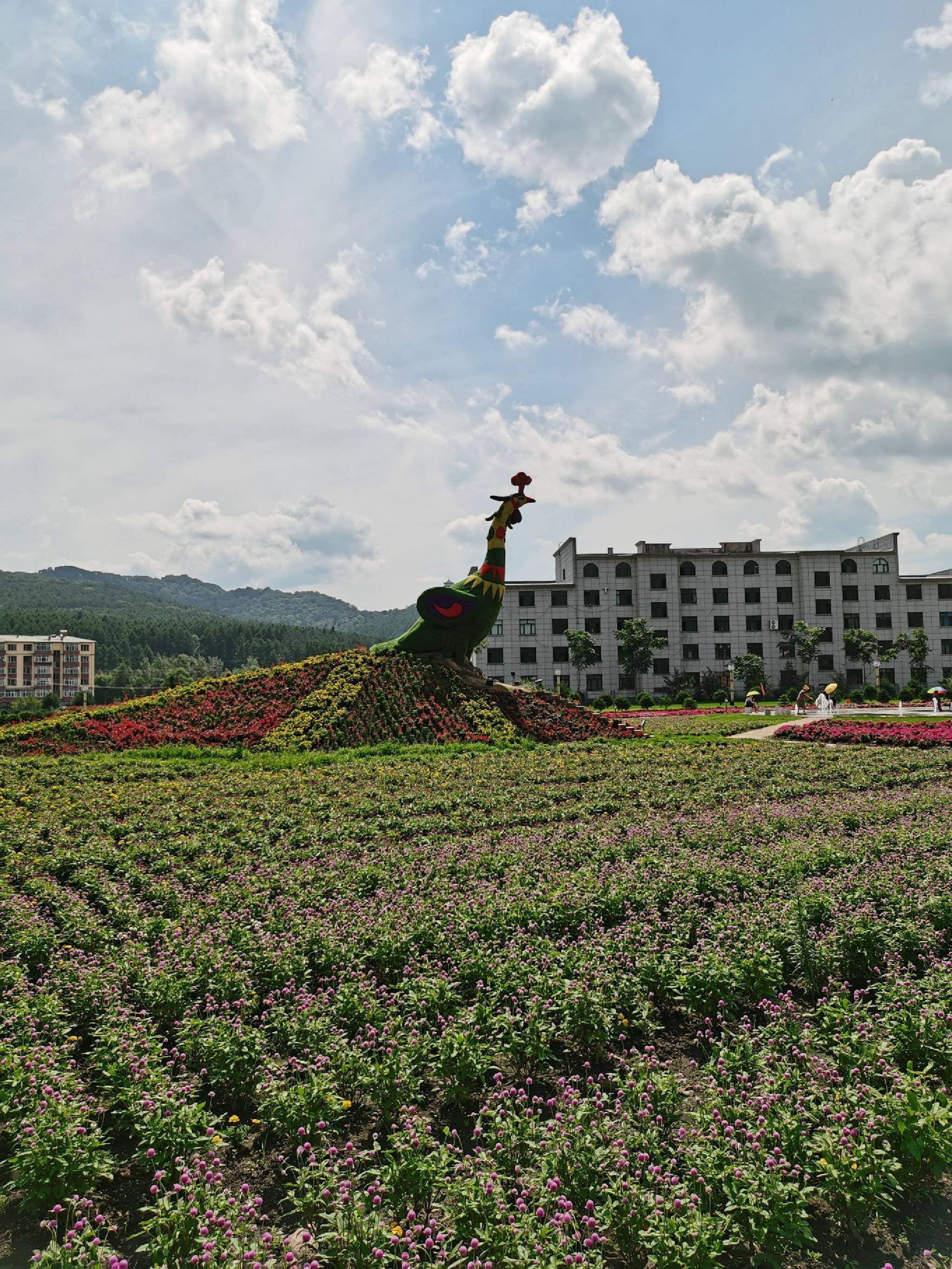 朗乡花海(暂停开放)旅行图片 1