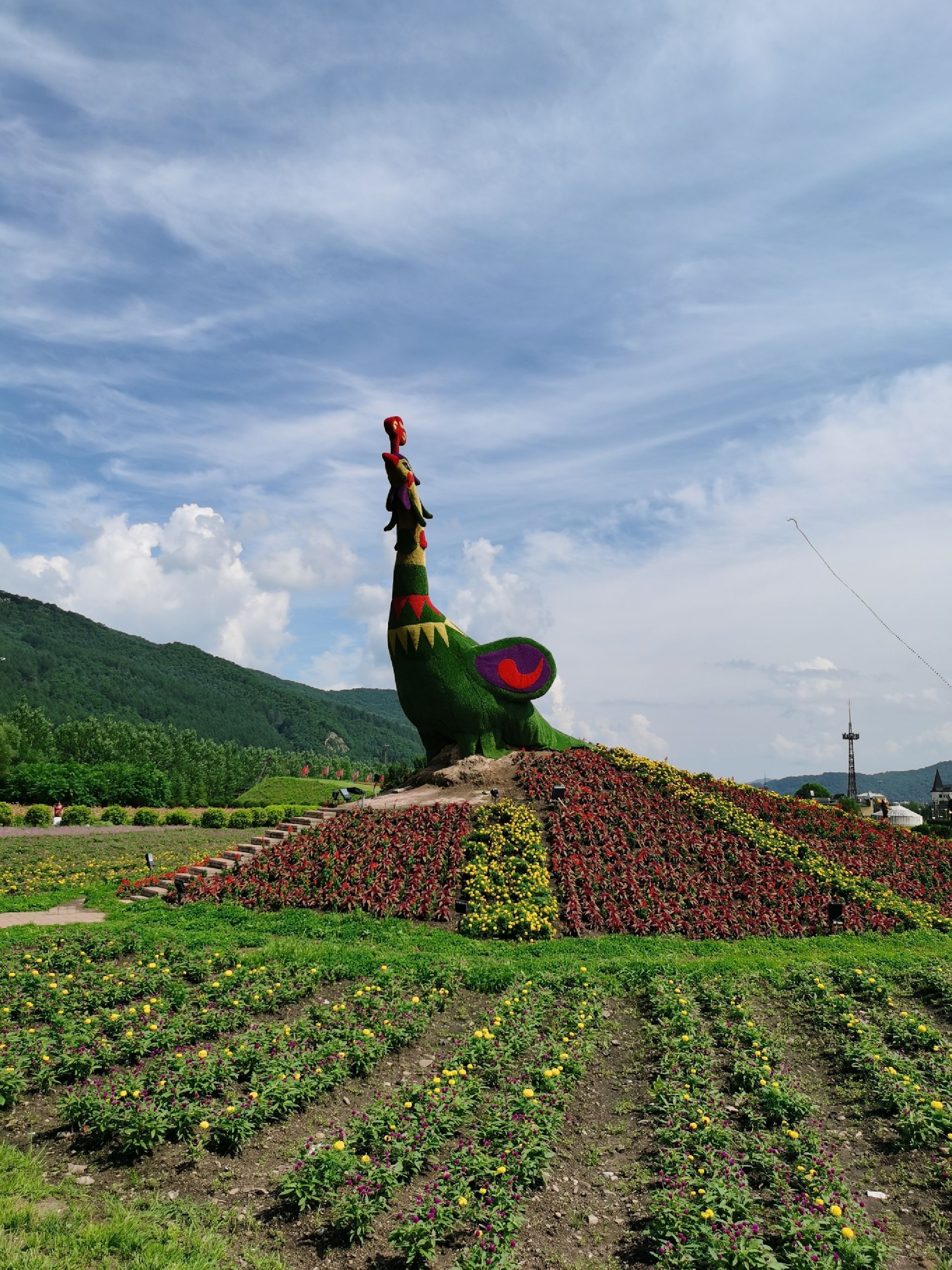 朗乡花海(暂停开放)旅行图片 3