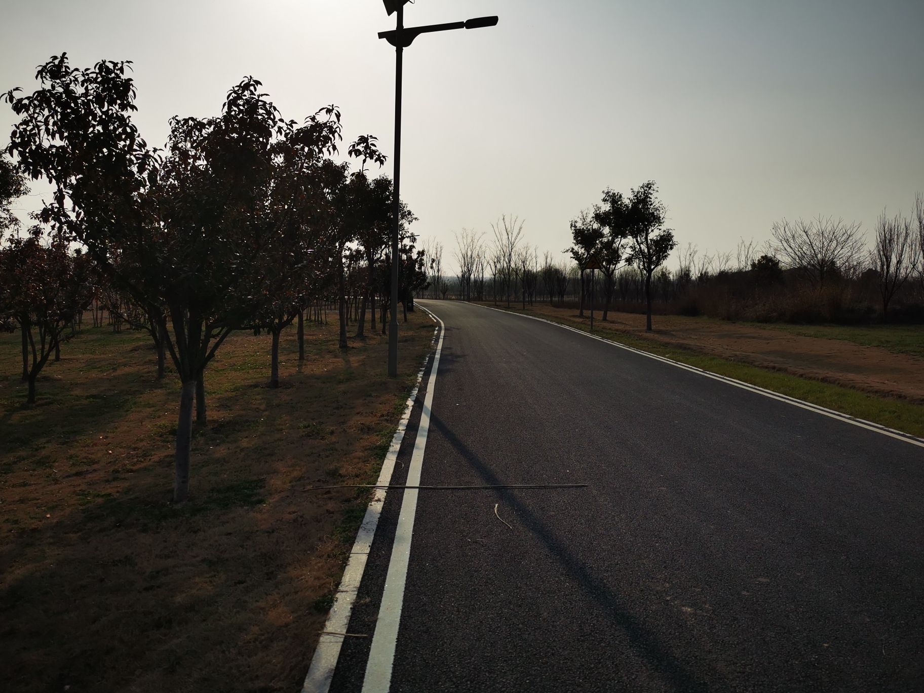 肥东管湾国家湿地公园旅行图片 2