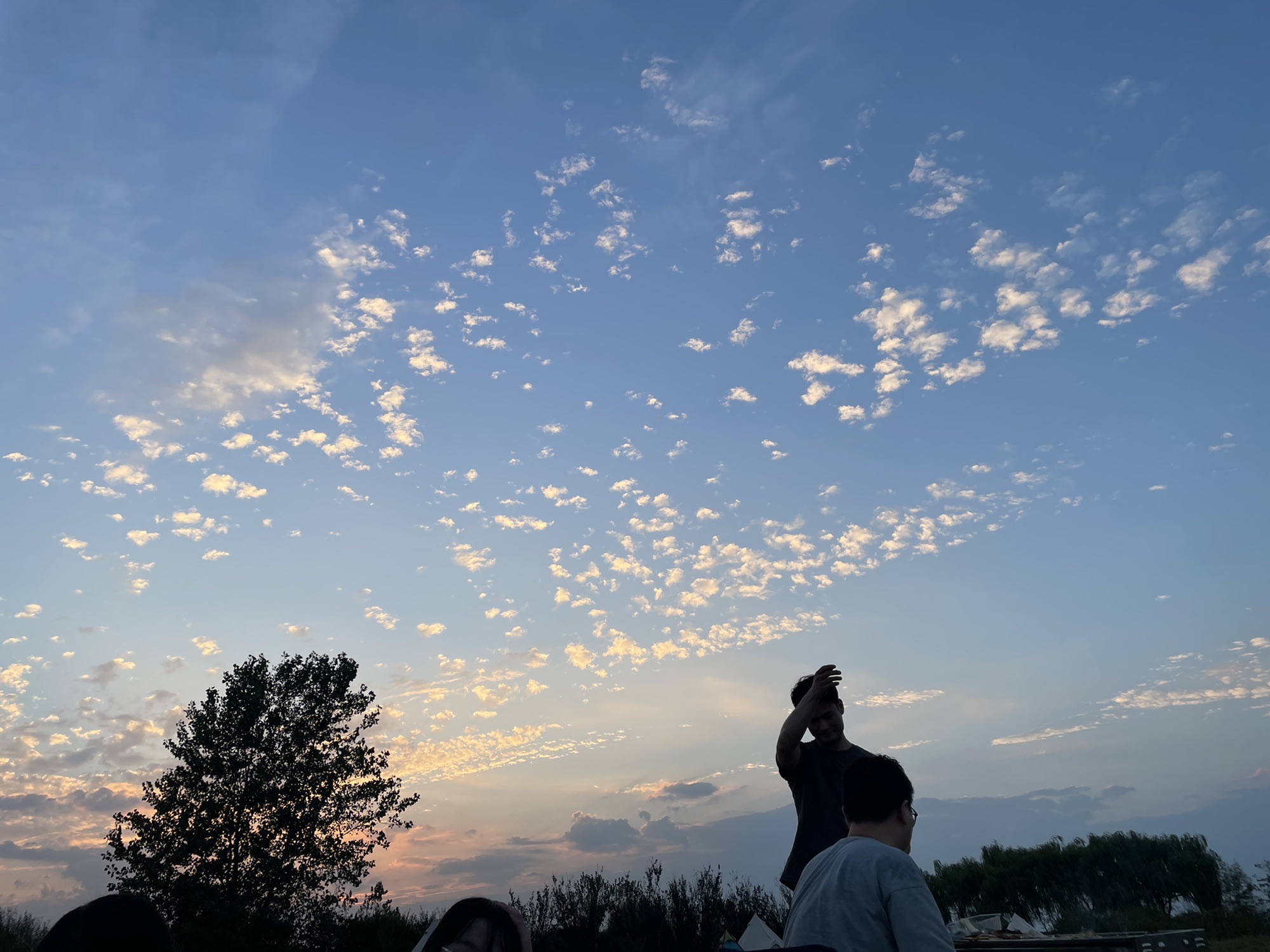 肥东管湾国家湿地公园旅行图片 2