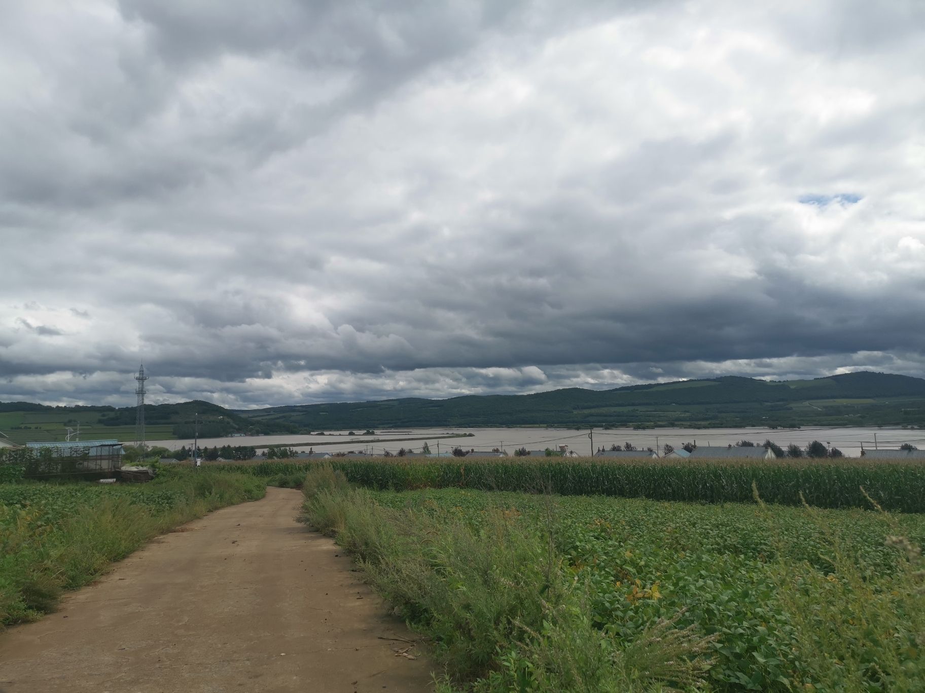 东湖风景区(暂停开放)旅行图片 3