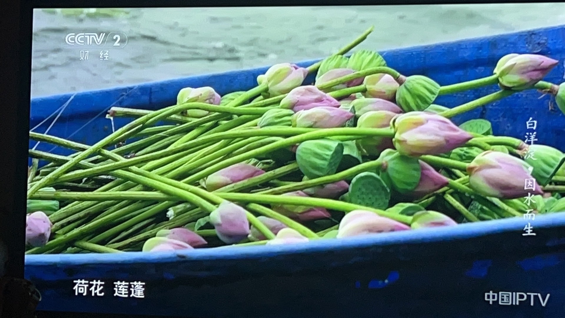 雄安悦容公园旅行图片 3