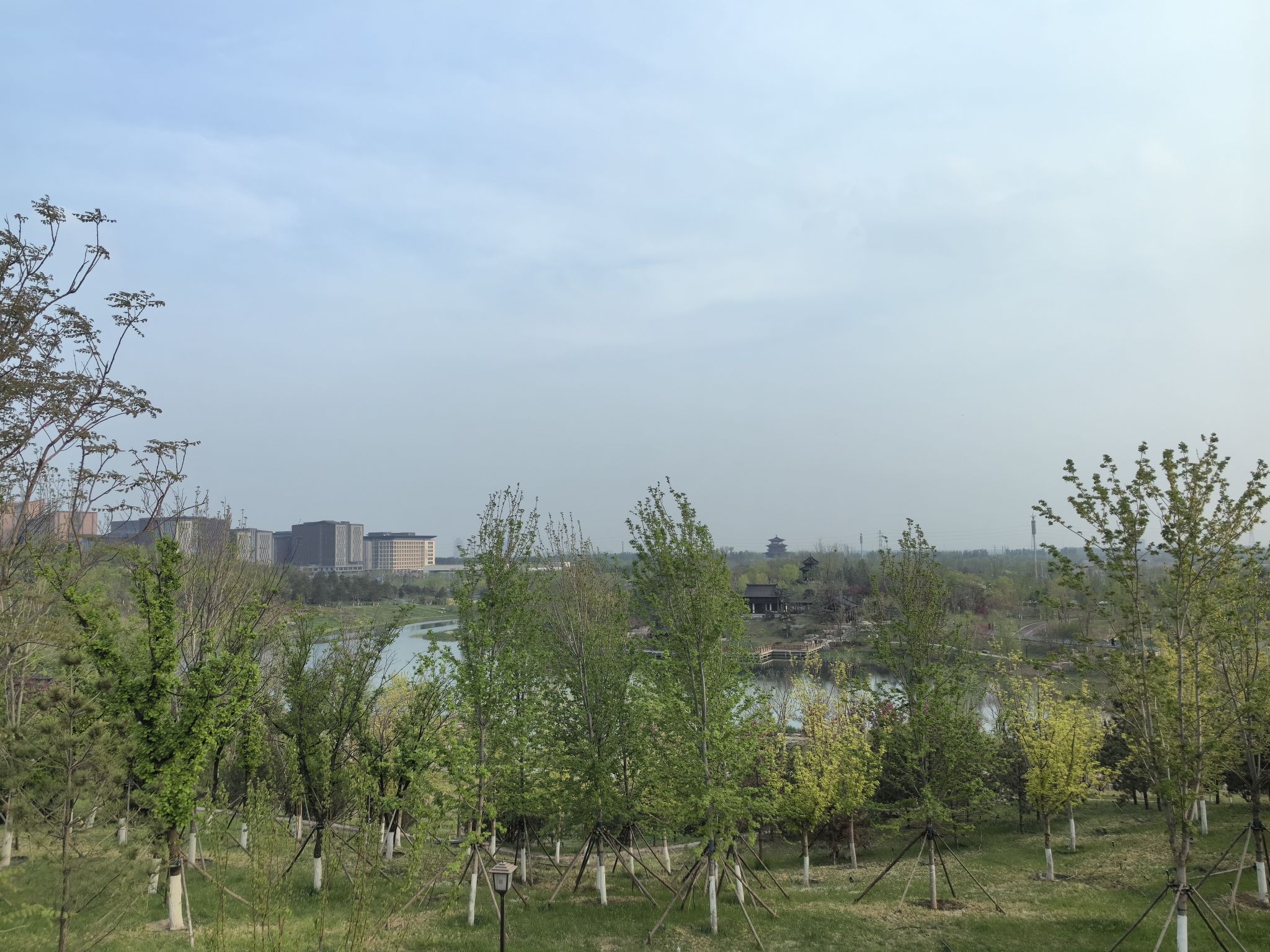 雄安悦容公园旅行图片 3