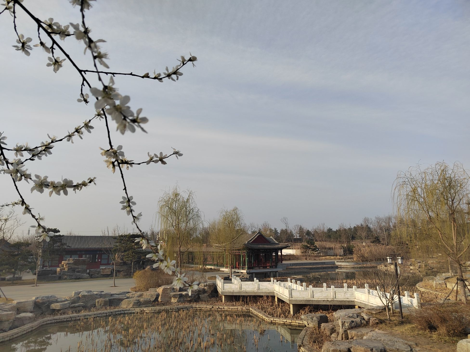 雄安悦容公园旅行图片 1