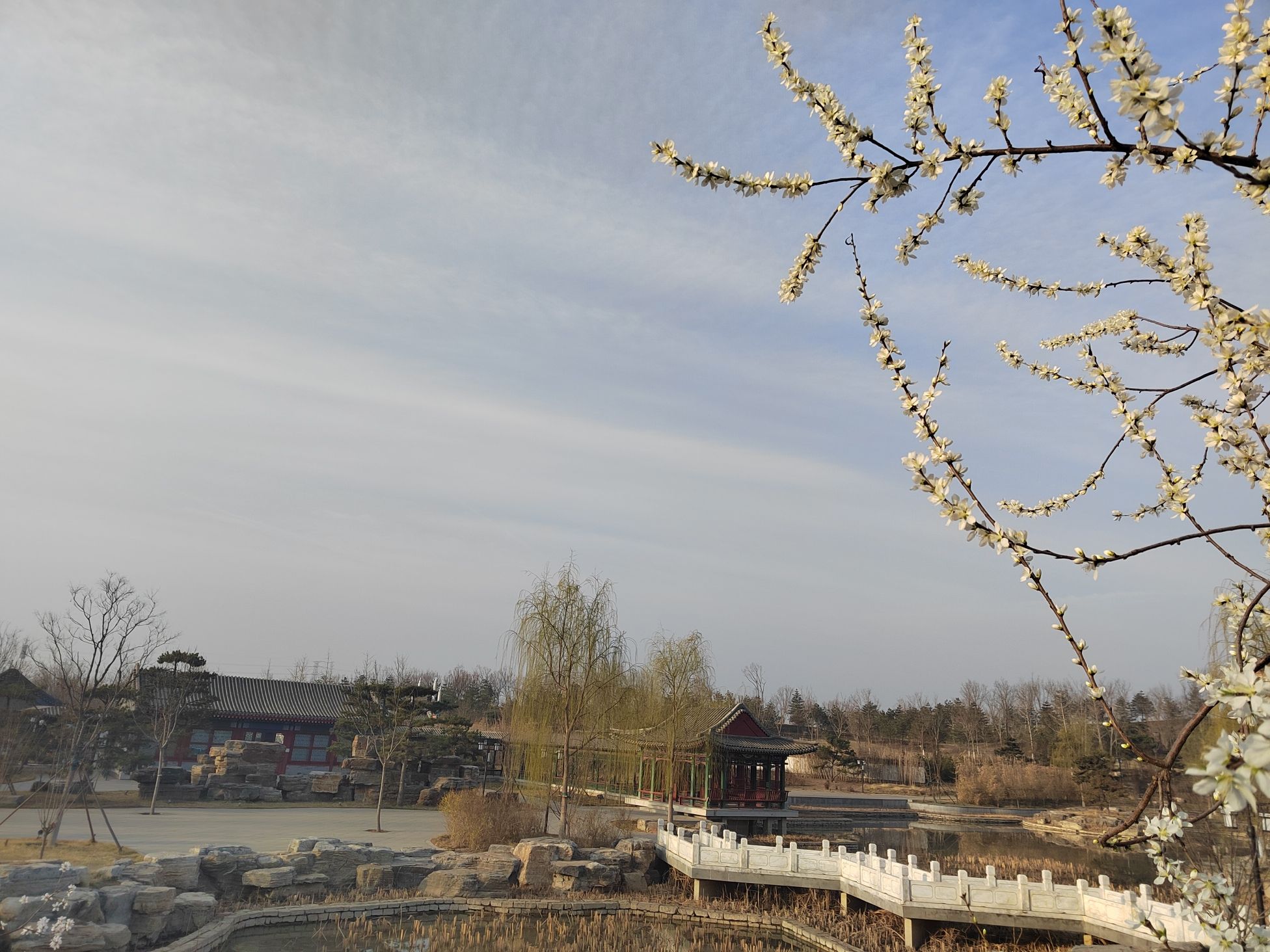 雄安悦容公园旅行图片 3