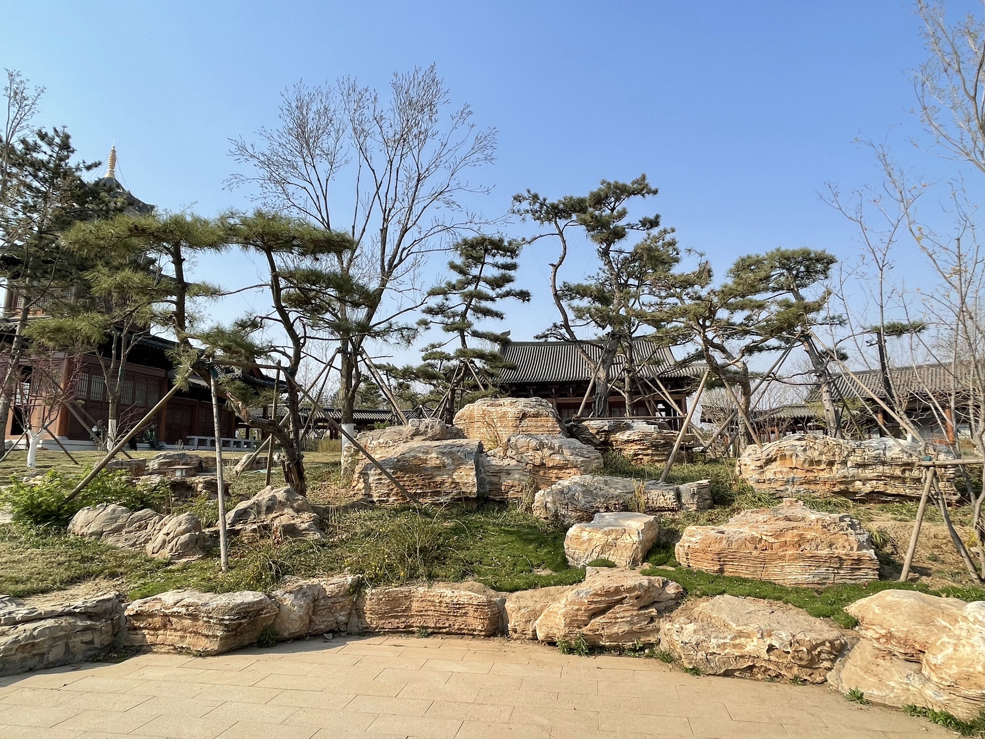 雄安悦容公园旅行图片 3