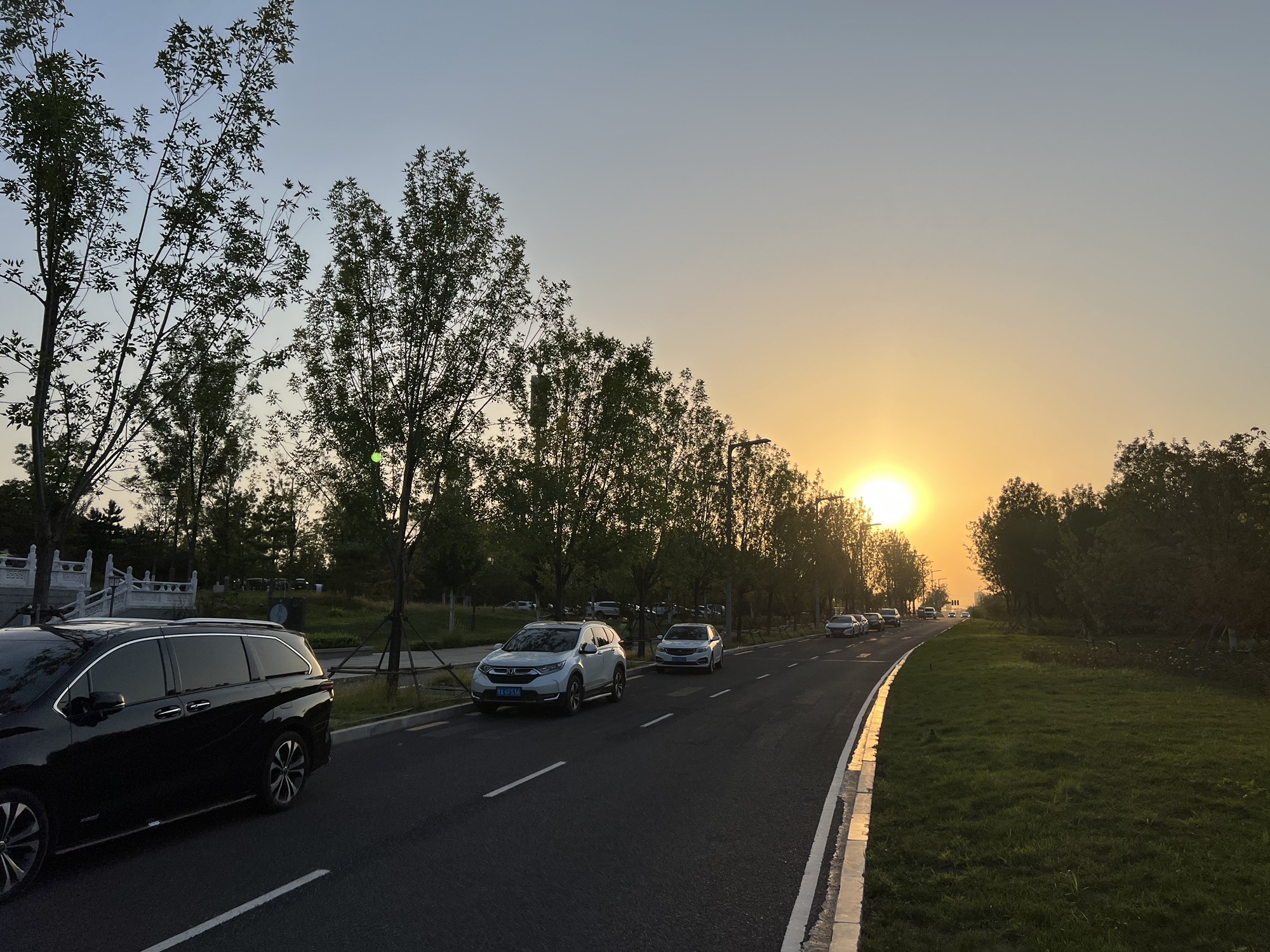 雄安悦容公园旅行图片 1