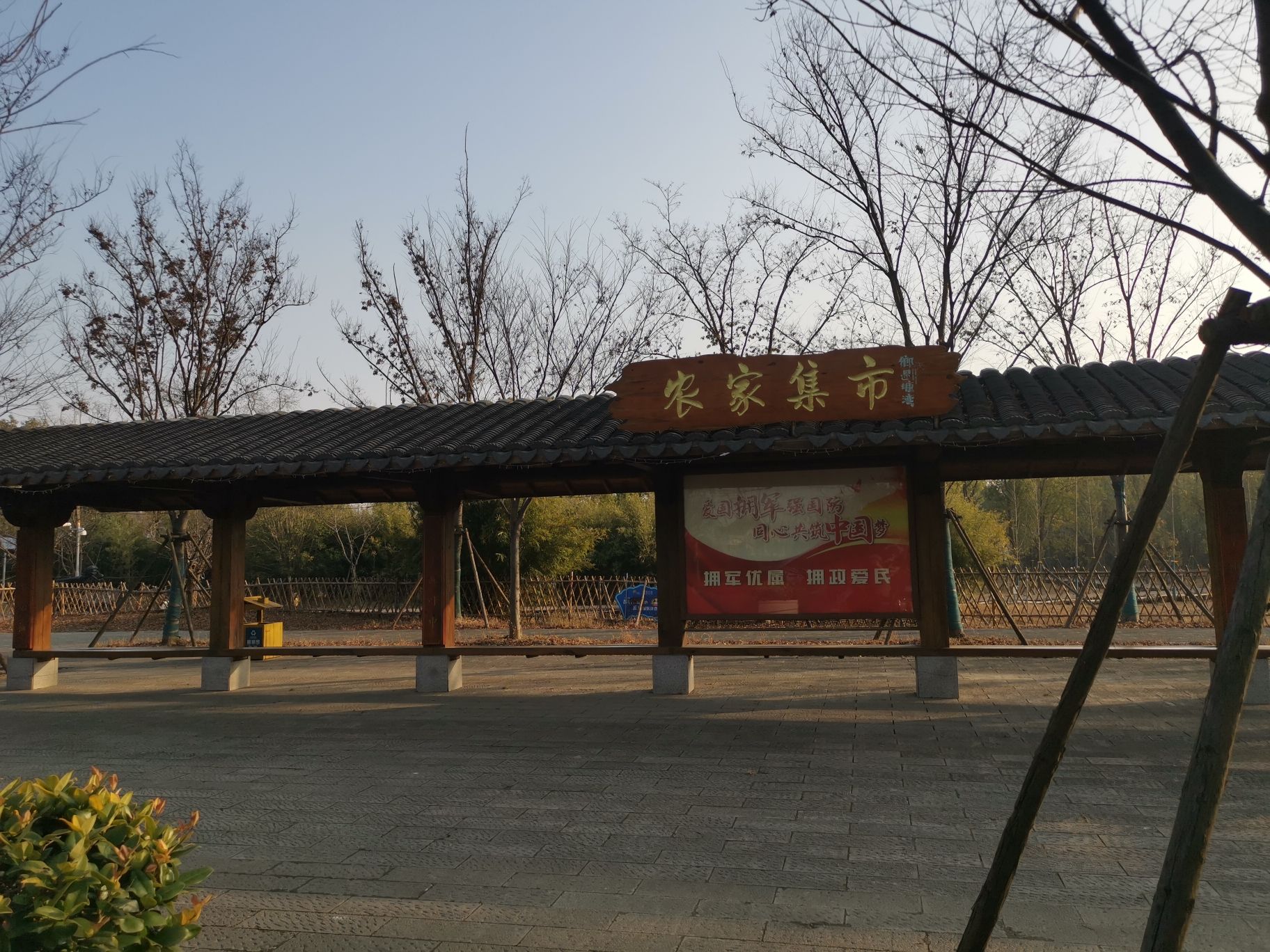 塘湾村母亲花文化园旅行图片 2