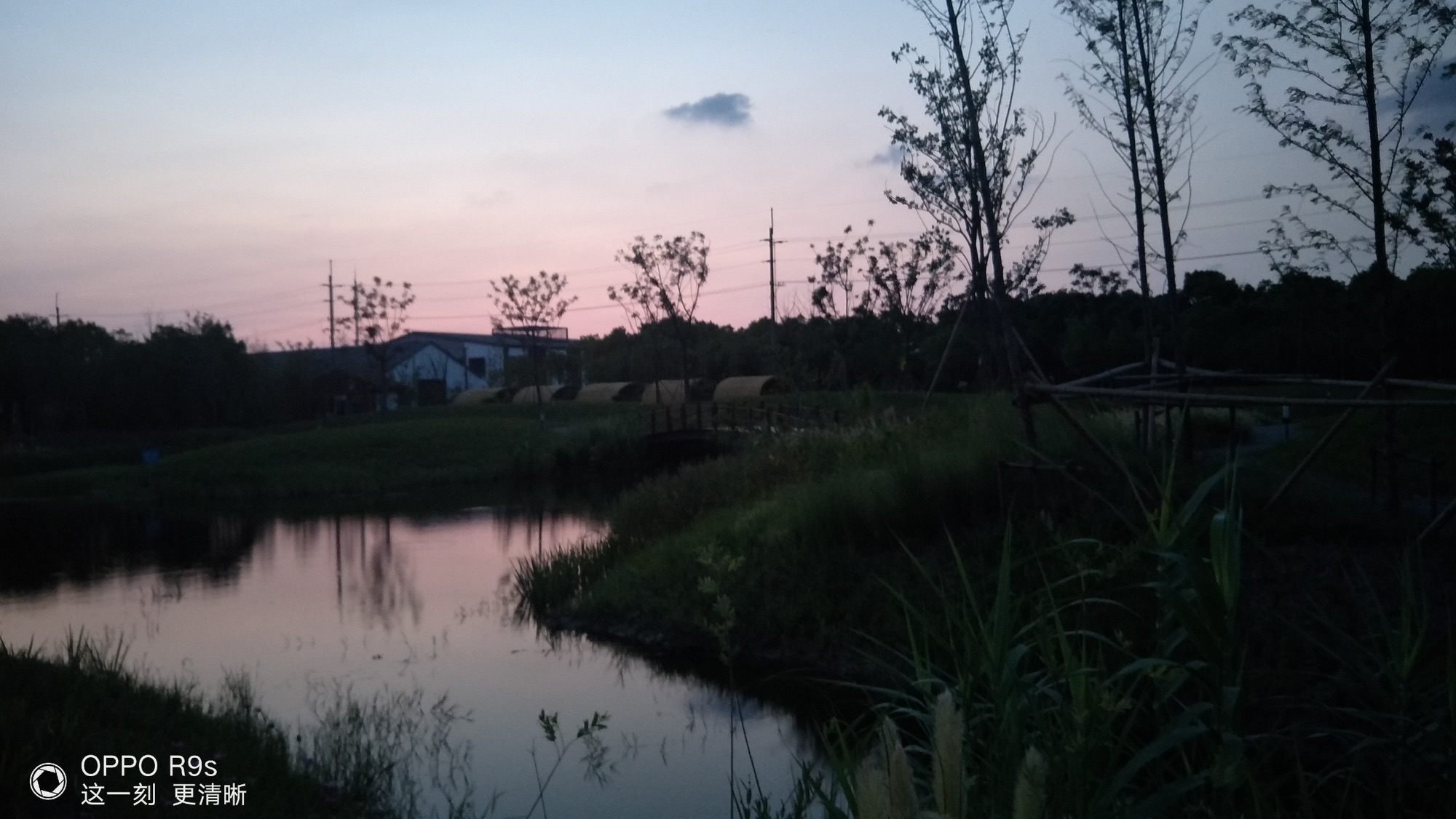 塘湾村母亲花文化园旅行图片 1