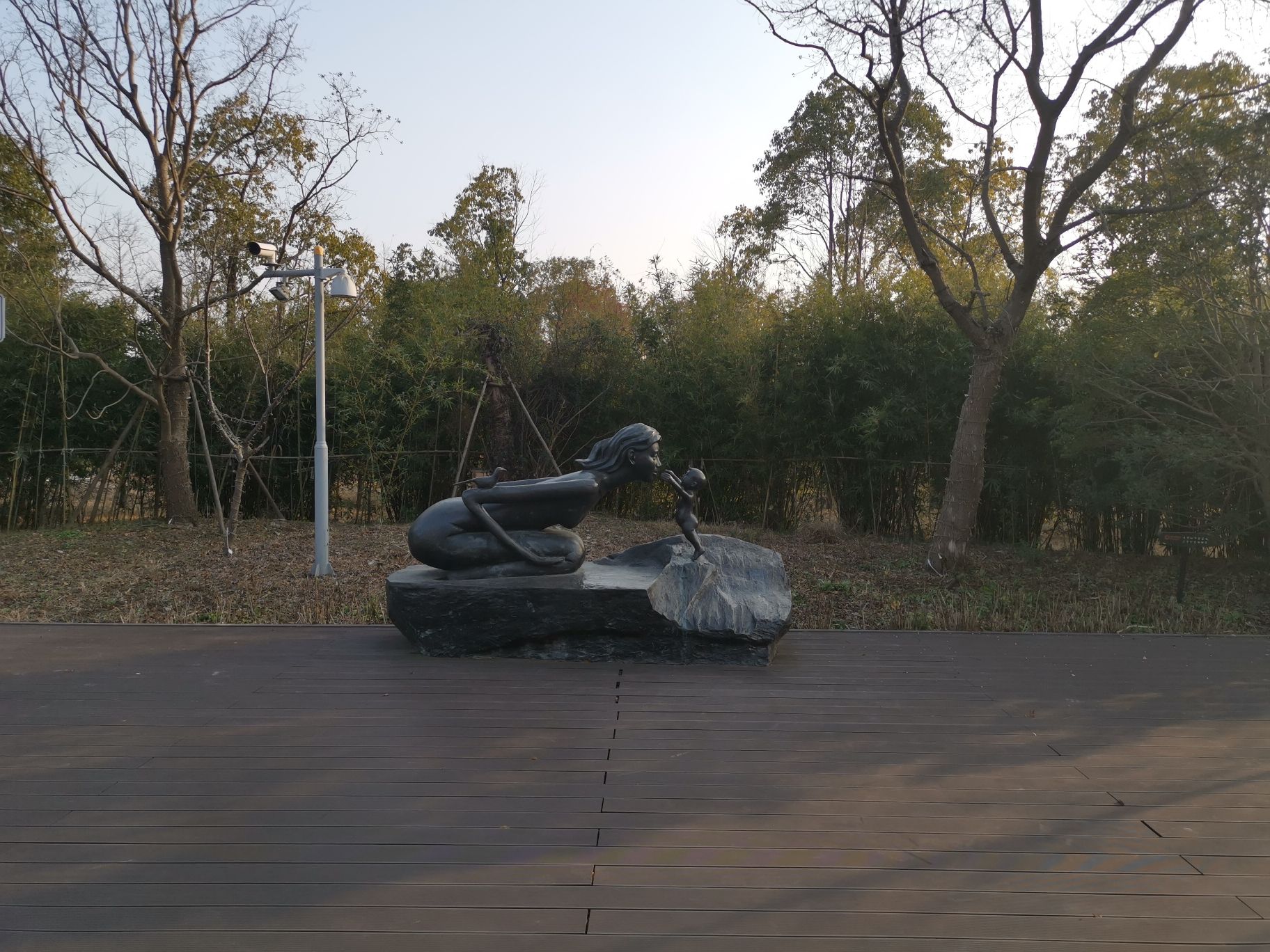 塘湾村母亲花文化园旅行图片 3