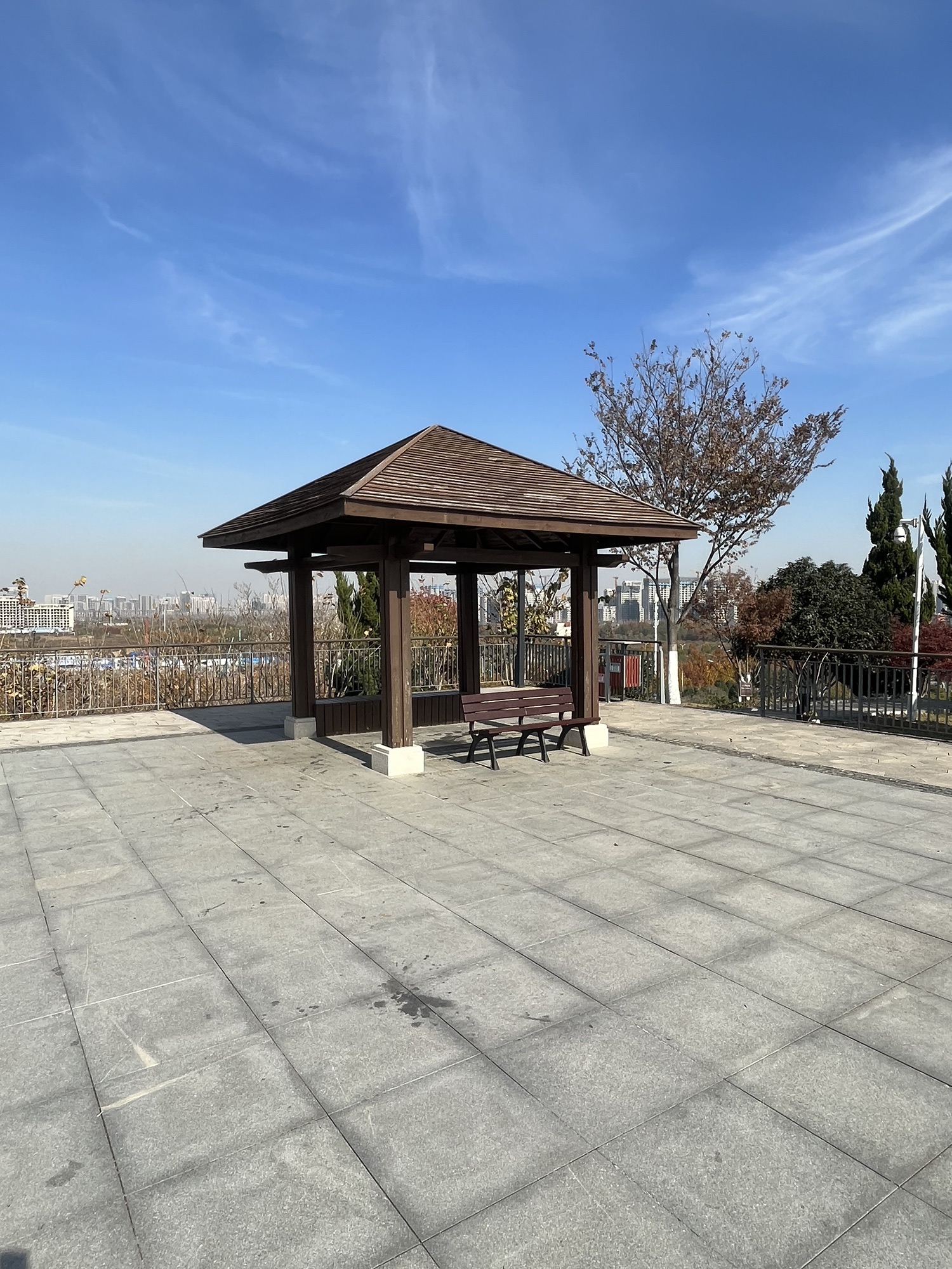 紫云山公园旅行图片 3