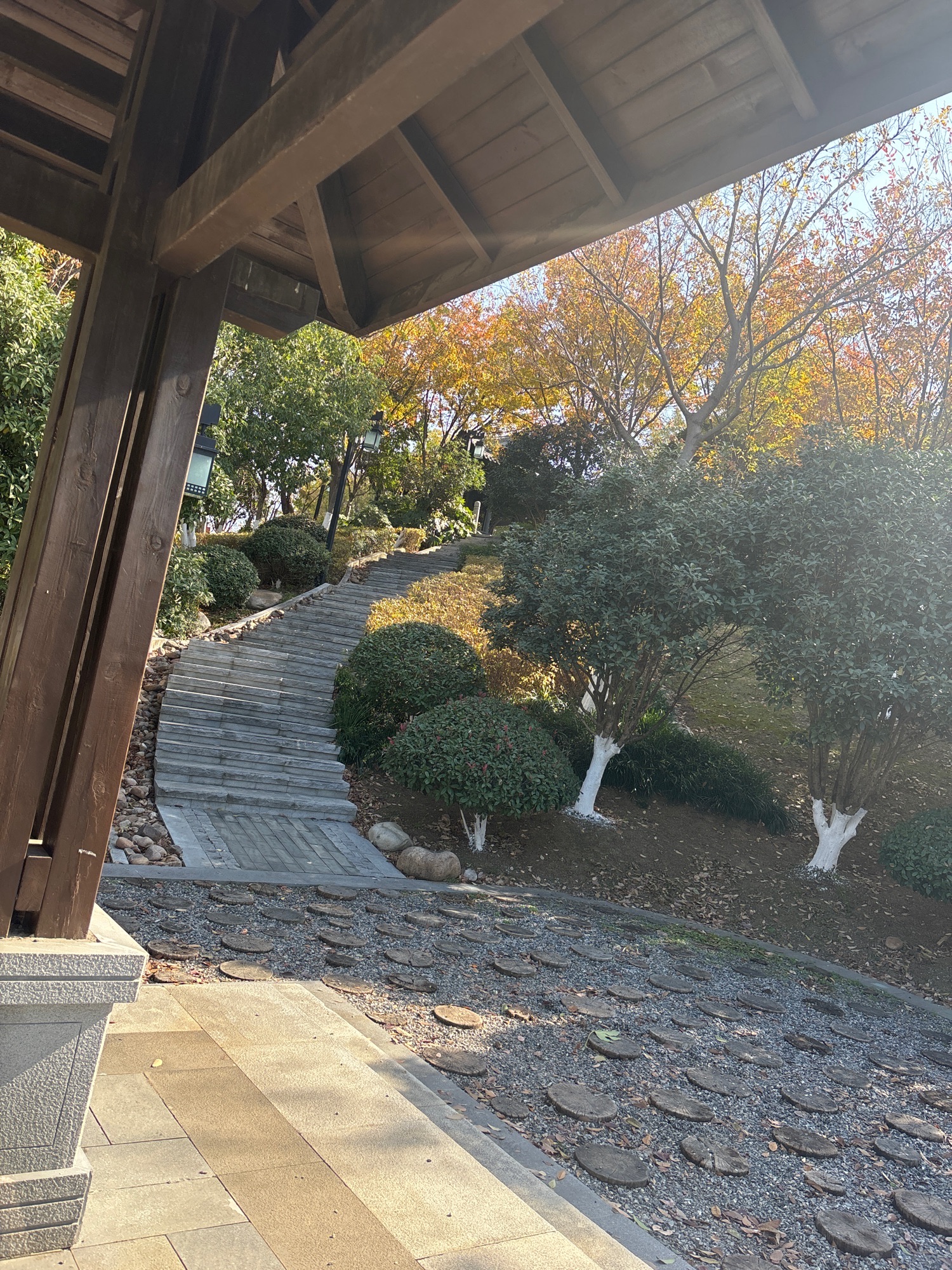 紫云山公园旅行图片 1