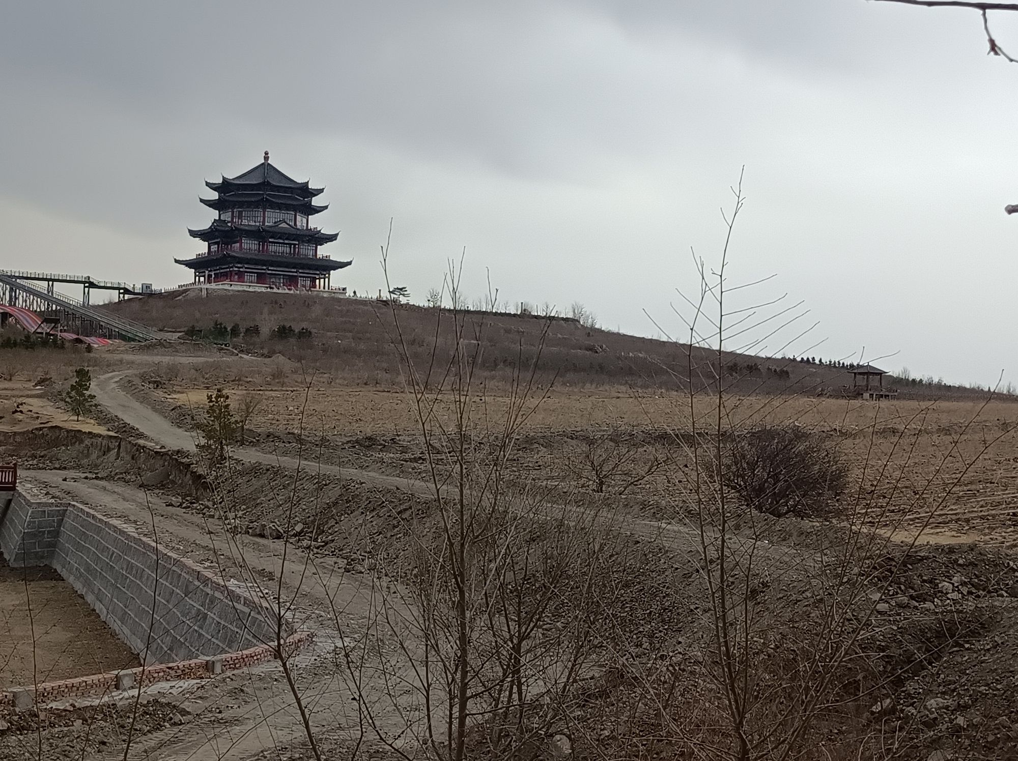 突泉县曙光花海(暂停开放)旅行图片 1