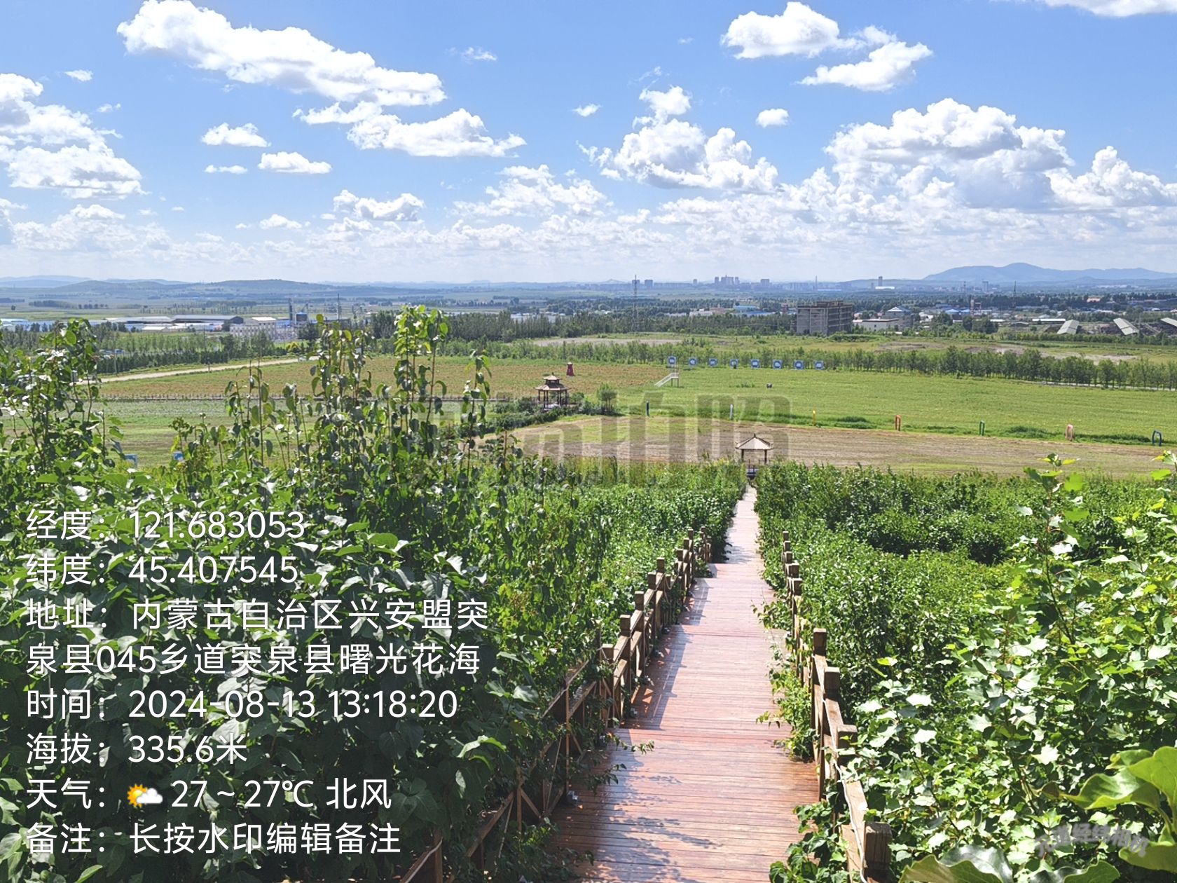 突泉县曙光花海(暂停开放)旅行图片 3