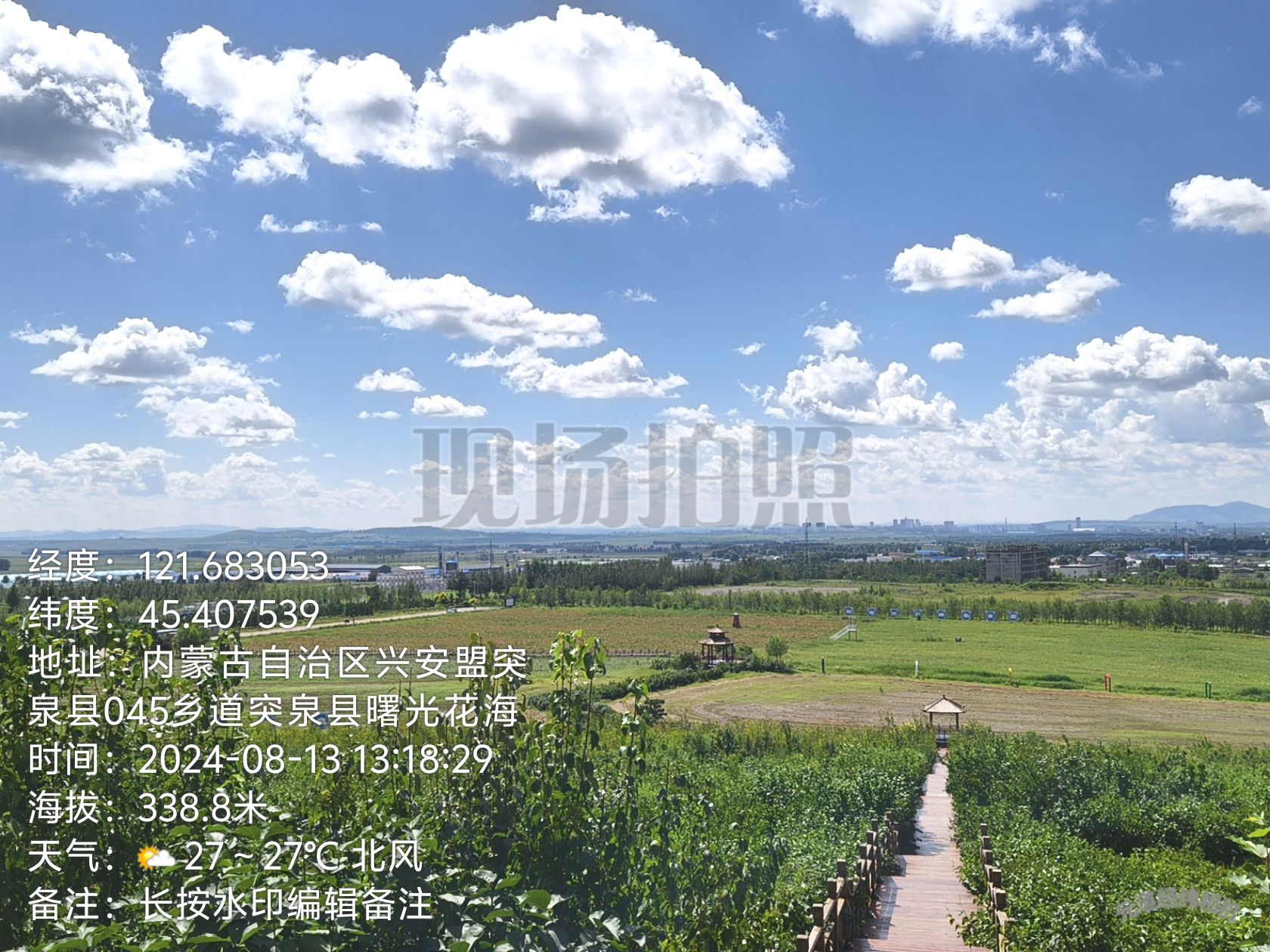 突泉县曙光花海(暂停开放)旅行图片 2