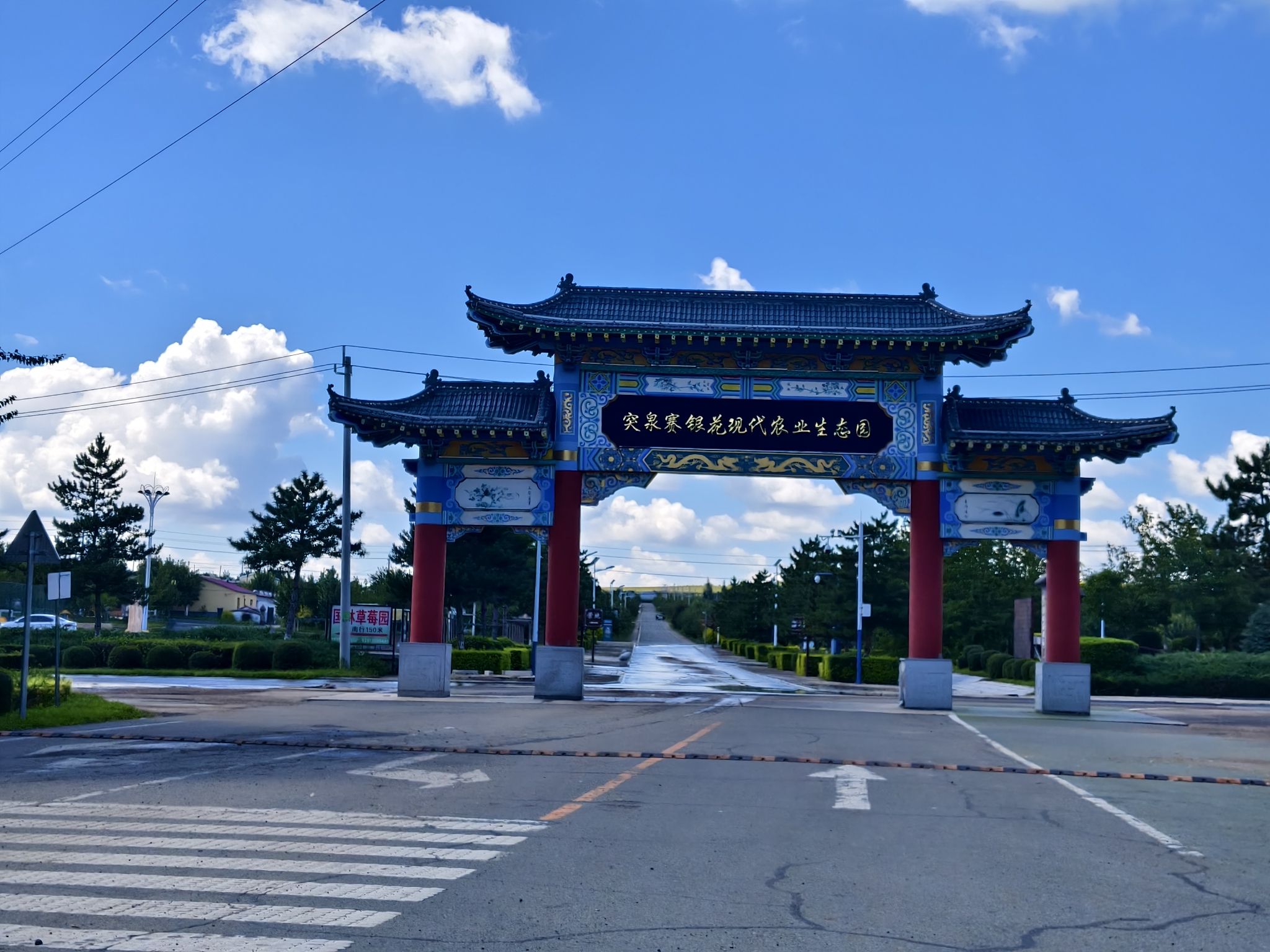 突泉县曙光花海(暂停开放)旅行图片 1
