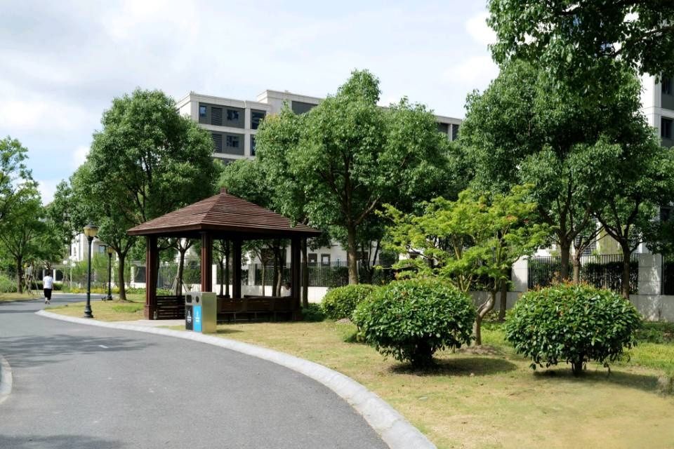 庄行公园旅行图片 1