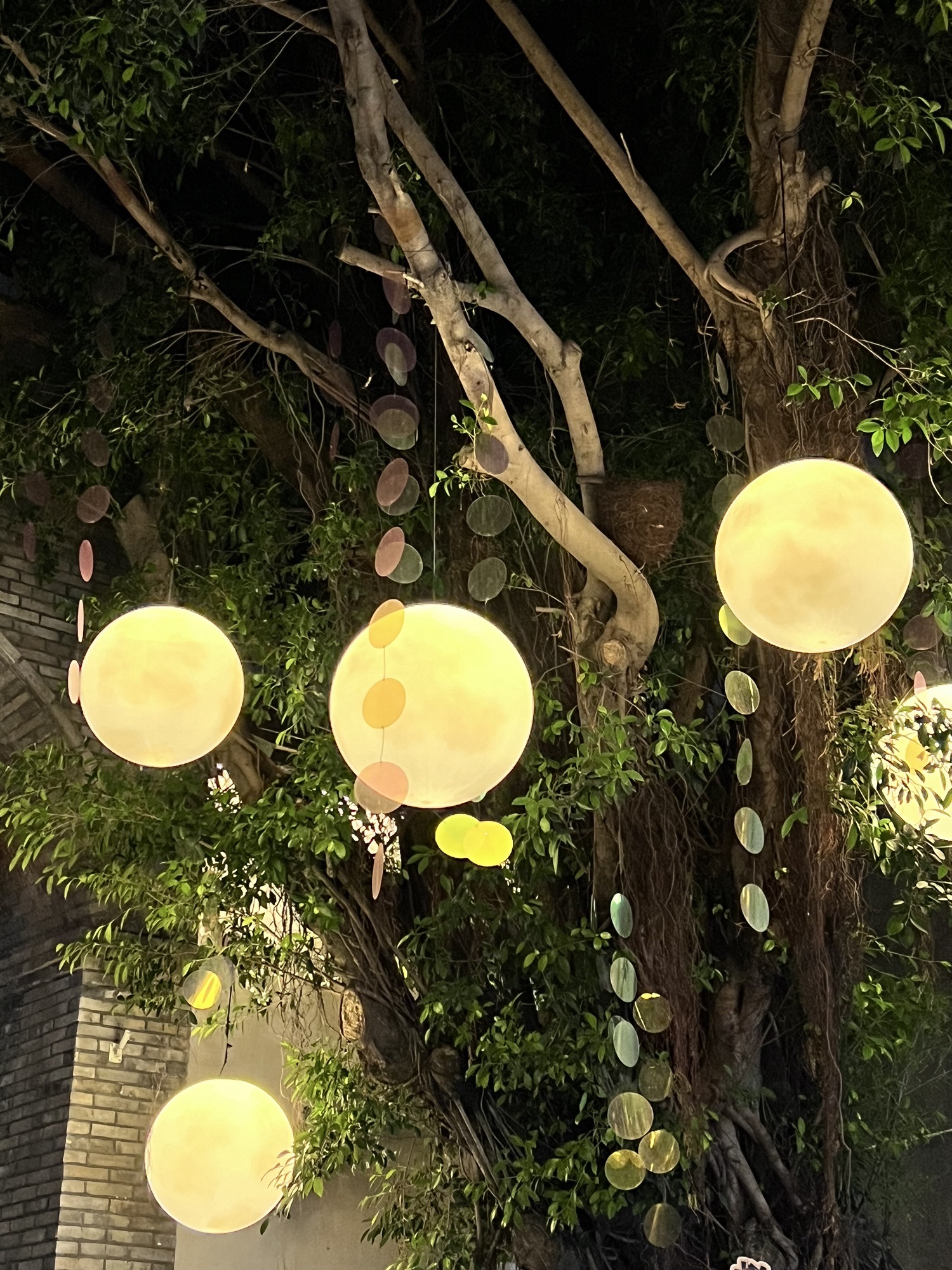 上下杭历史文化街区旅行图片 1