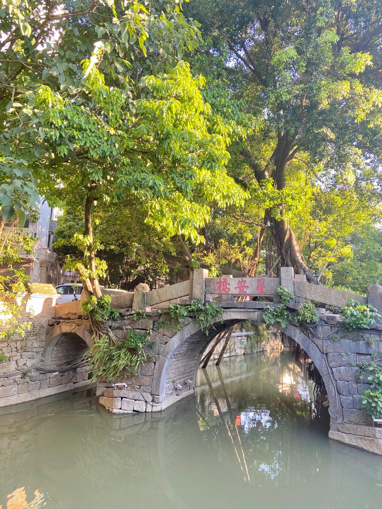 上下杭历史文化街区旅行图片 2