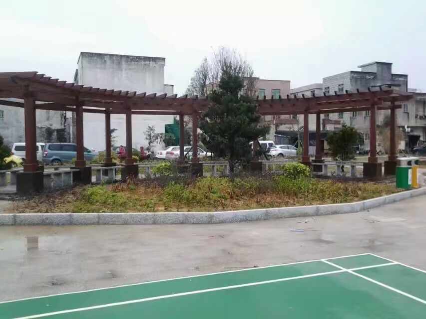 奕东村文化广场旅行图片 2