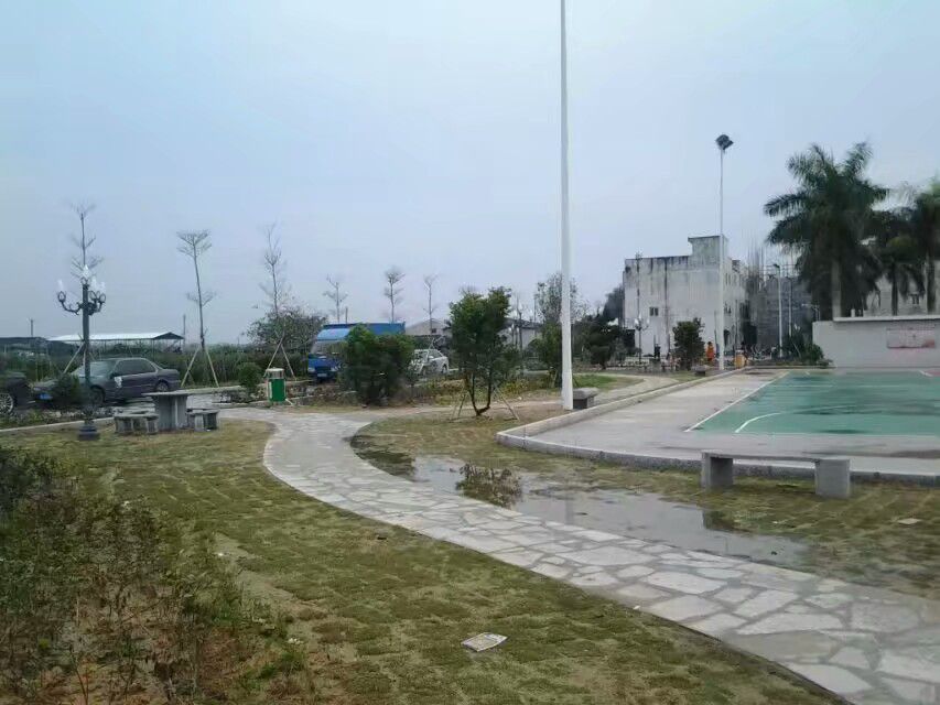 奕东村文化广场旅行图片 3