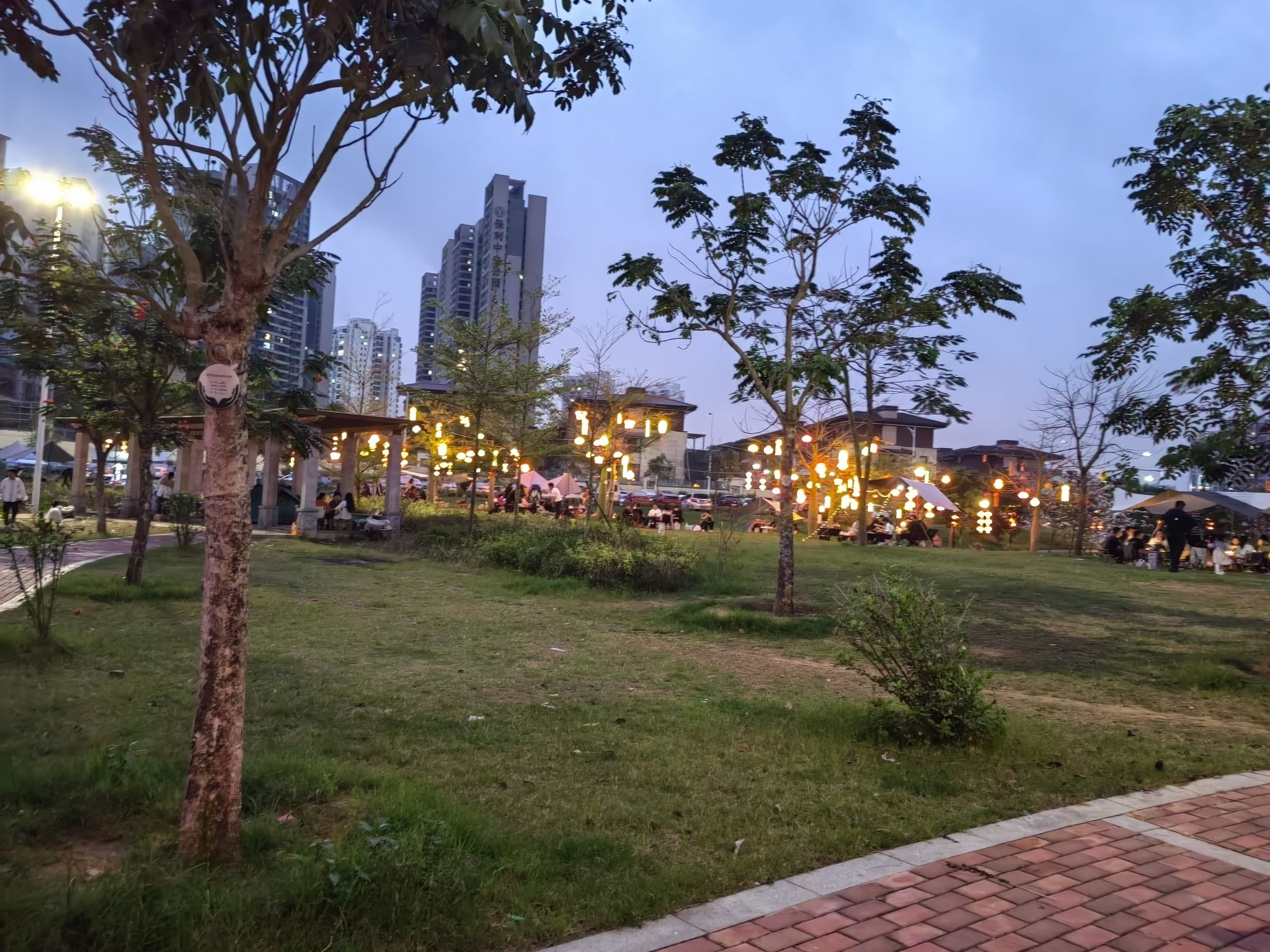 共青湖公园旅行图片 3